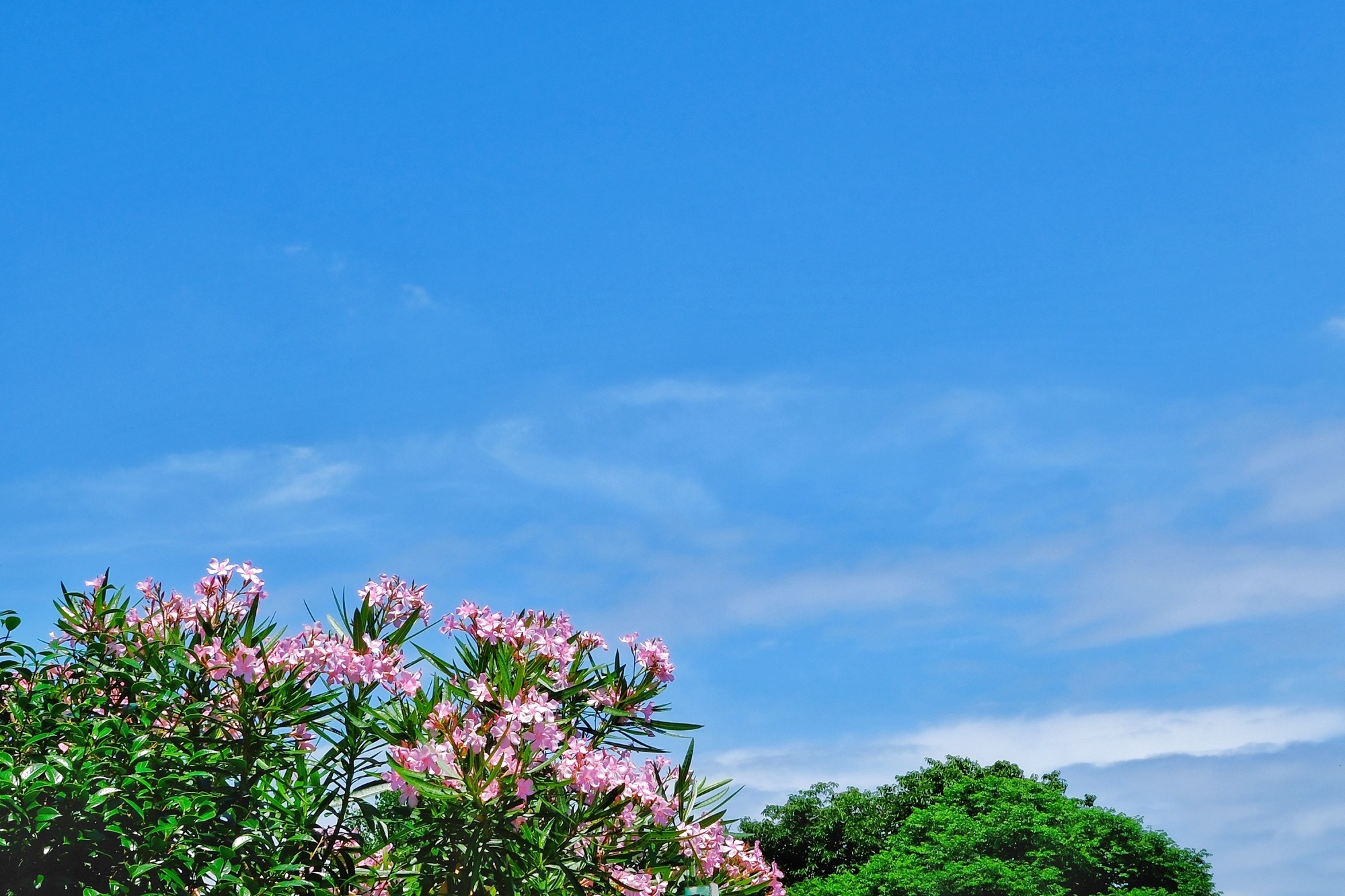 f:id:bin-paku:20240624073251j:image f:id:bin-paku:20240624073251j:image
