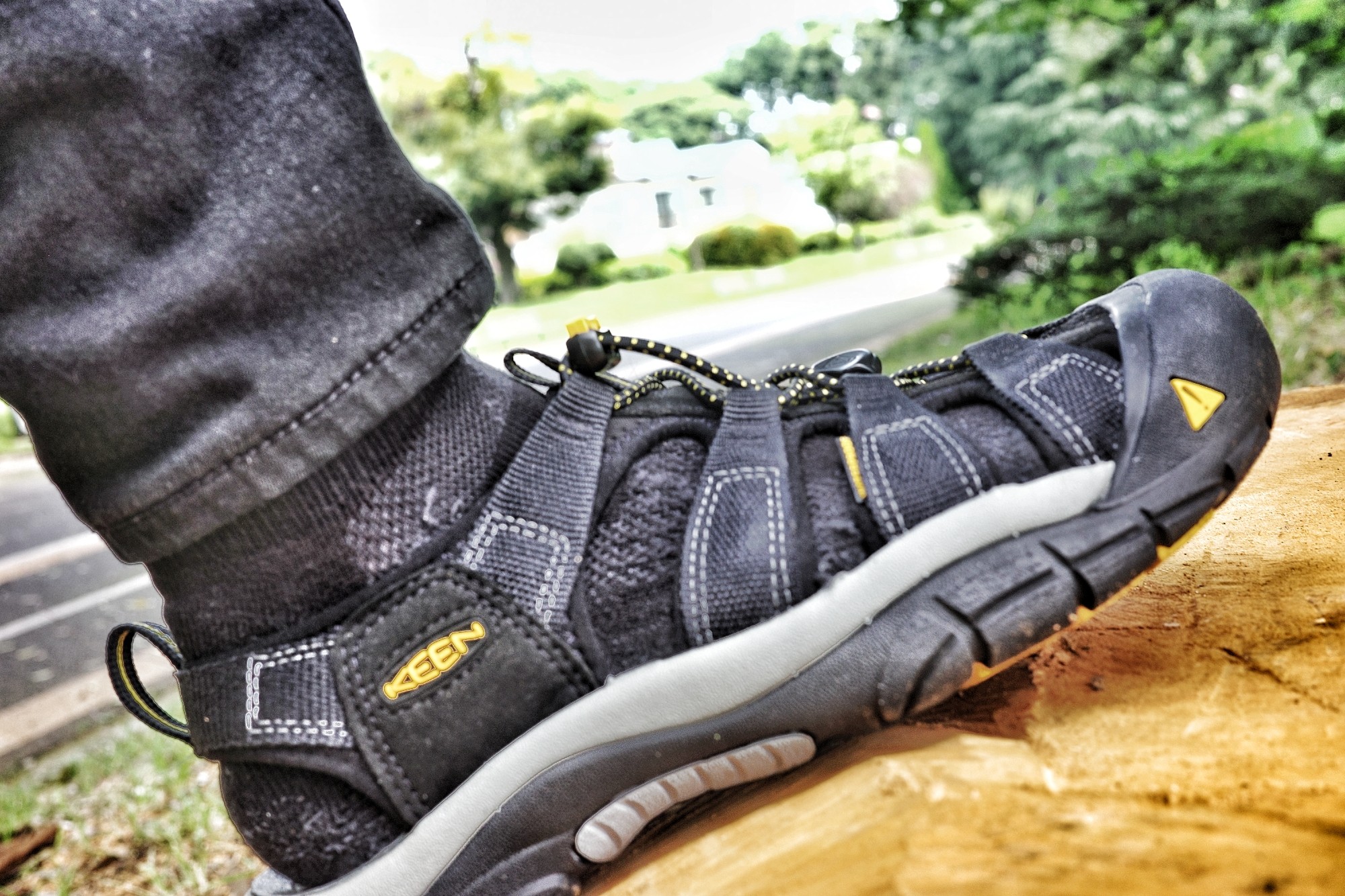 f:id:bin-paku:20240708122100j:image f:id:bin-paku:20240708122100j:image