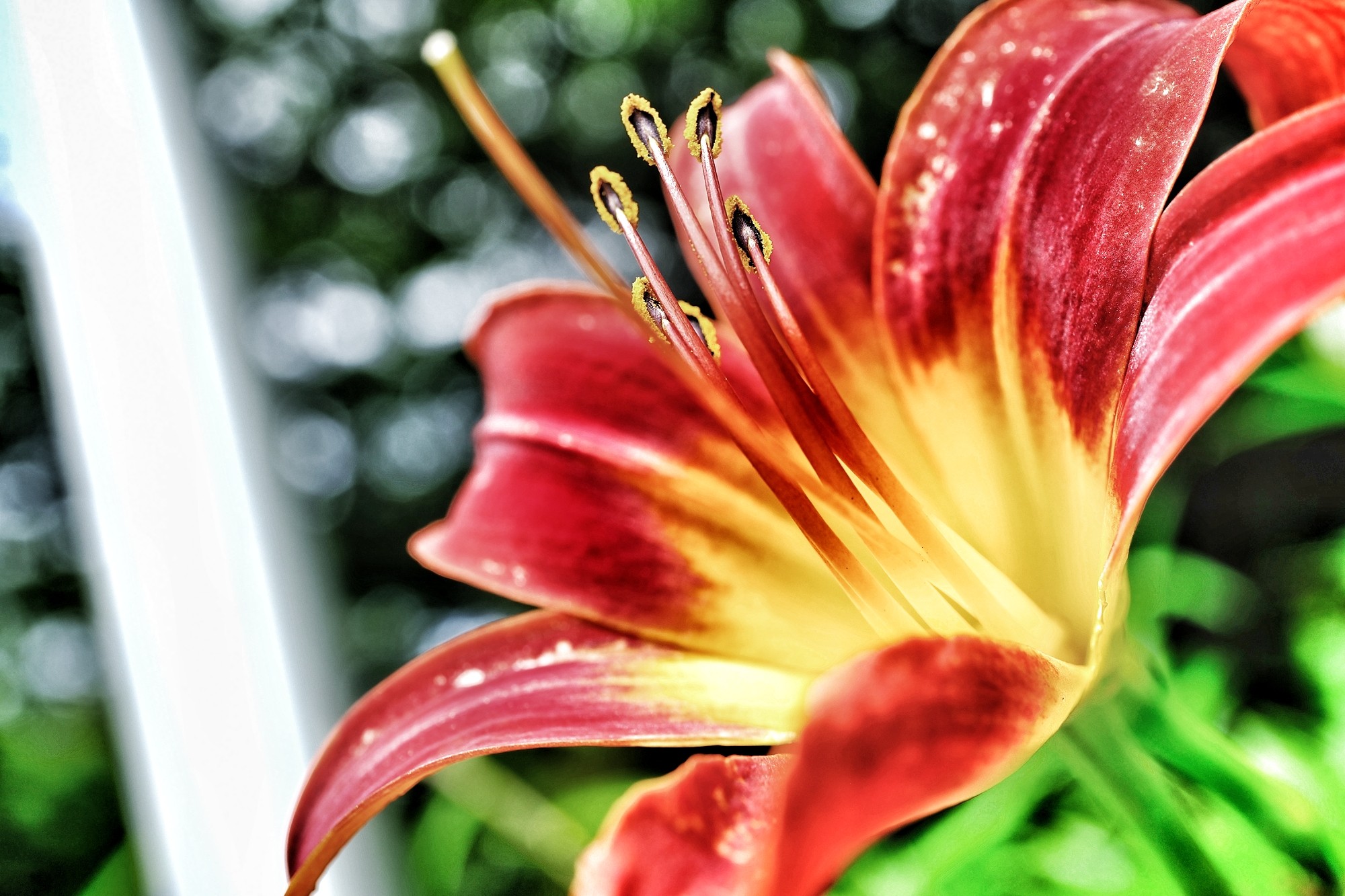 f:id:bin-paku:20240717113023j:image f:id:bin-paku:20240717113023j:image