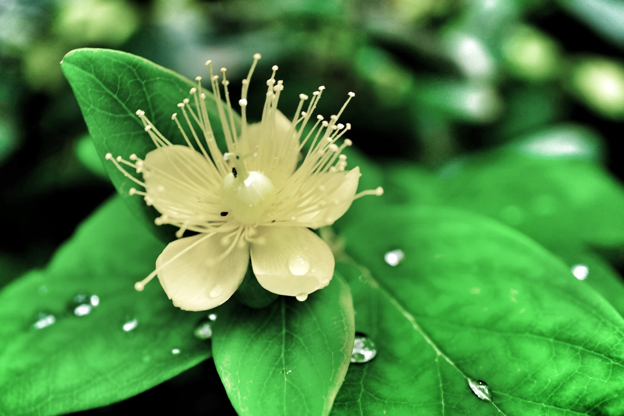 f:id:bin-paku:20240717113221j:image f:id:bin-paku:20240717113221j:image