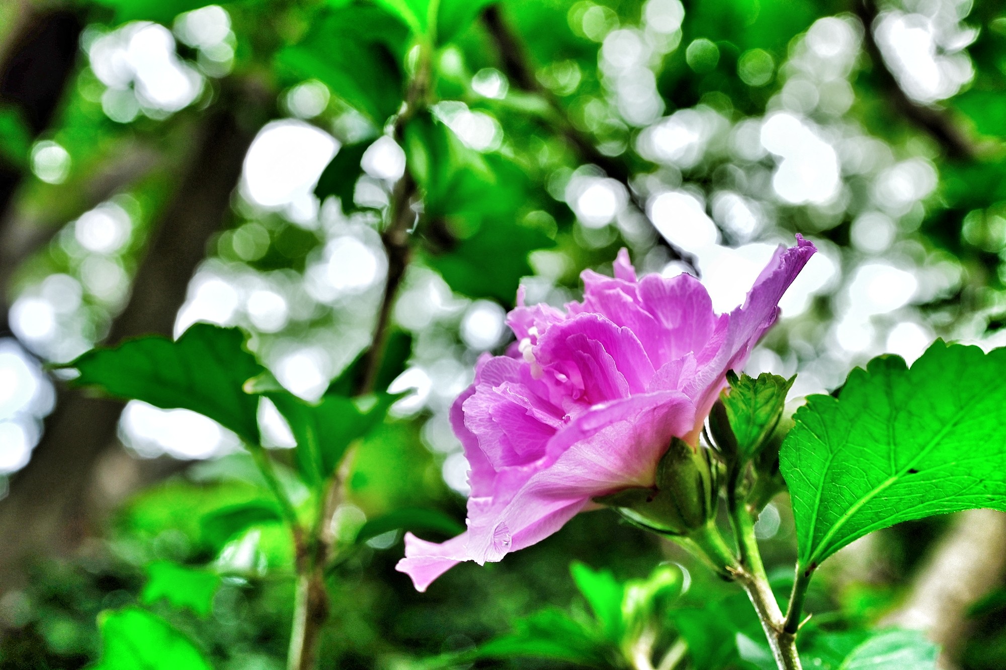 f:id:bin-paku:20240717113539j:image f:id:bin-paku:20240717113539j:image