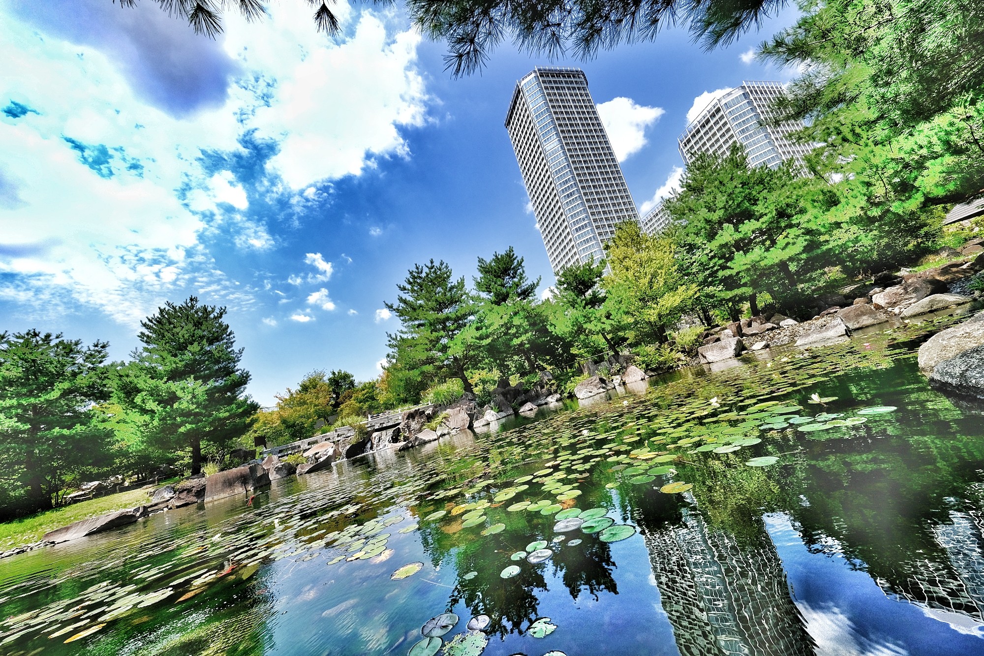 f:id:bin-paku:20240809225625j:image