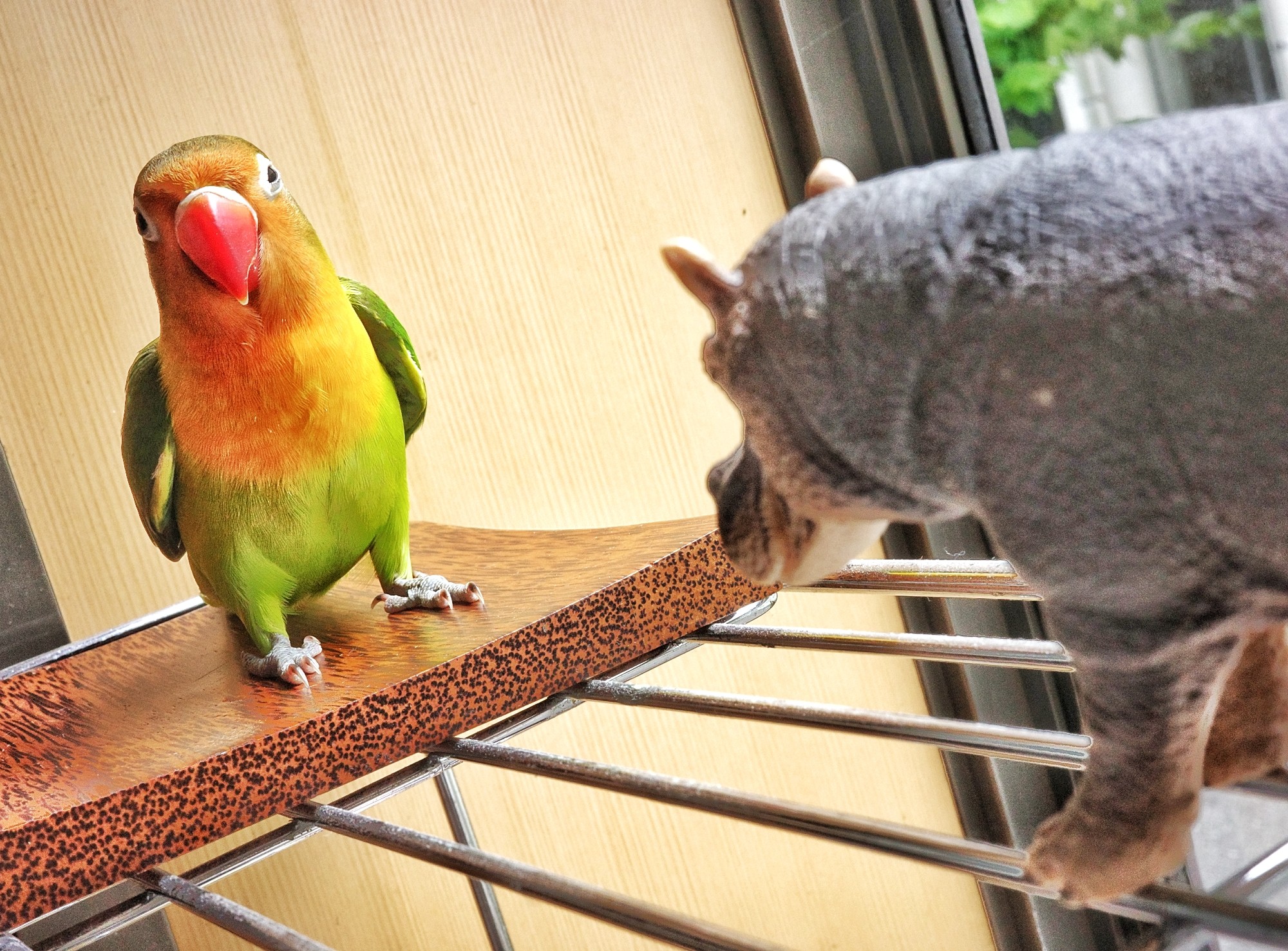f:id:bin-paku:20240818204312j:image f:id:bin-paku:20240818204312j:image