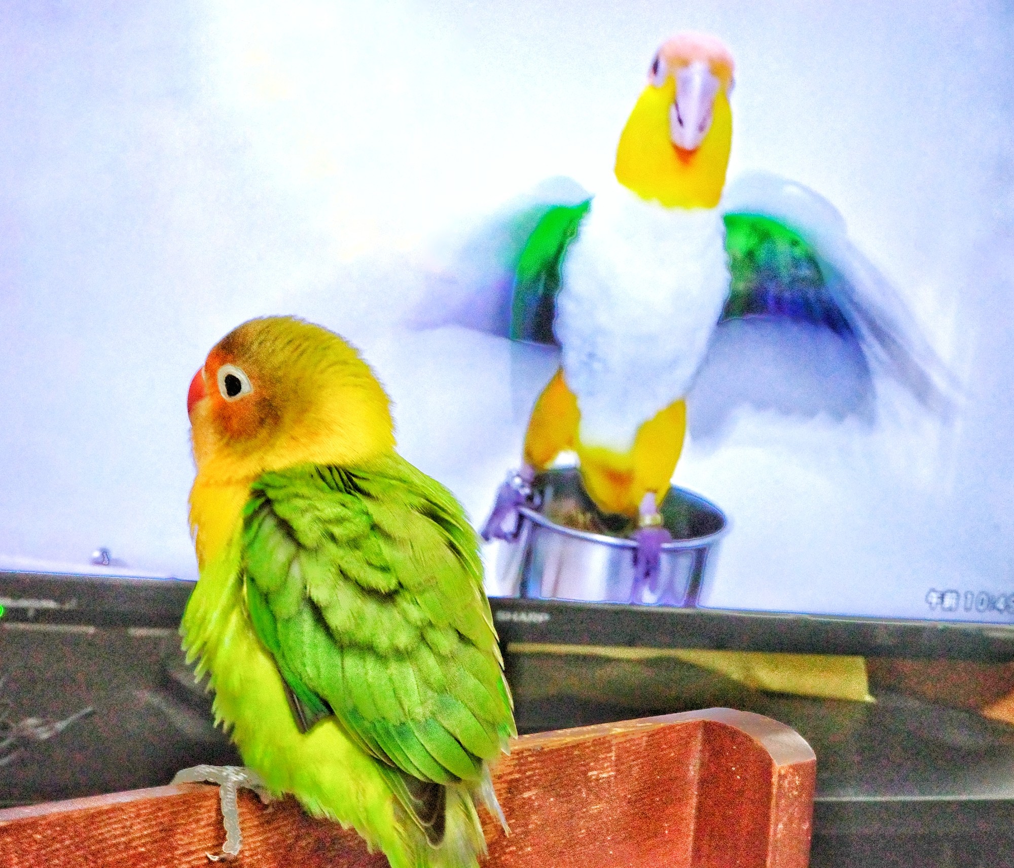 f:id:bin-paku:20240818204454j:image f:id:bin-paku:20240818204454j:image