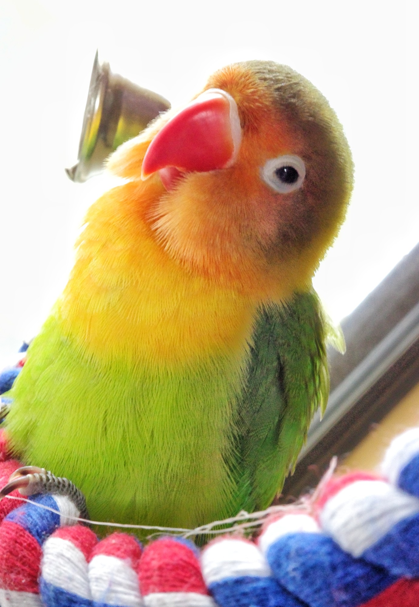 f:id:bin-paku:20240820145541j:image