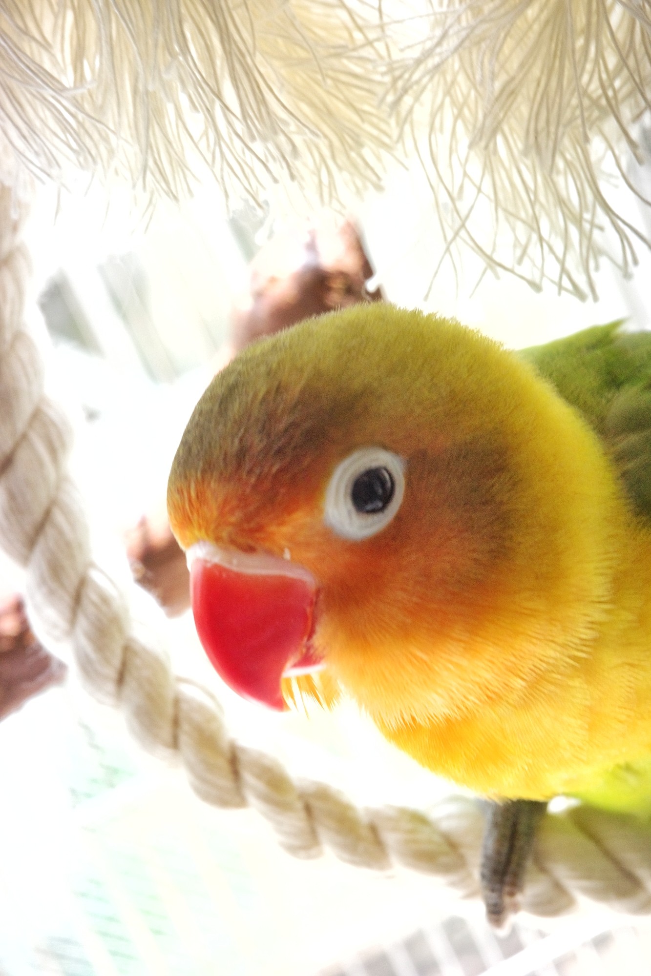 f:id:bin-paku:20240824122337j:image