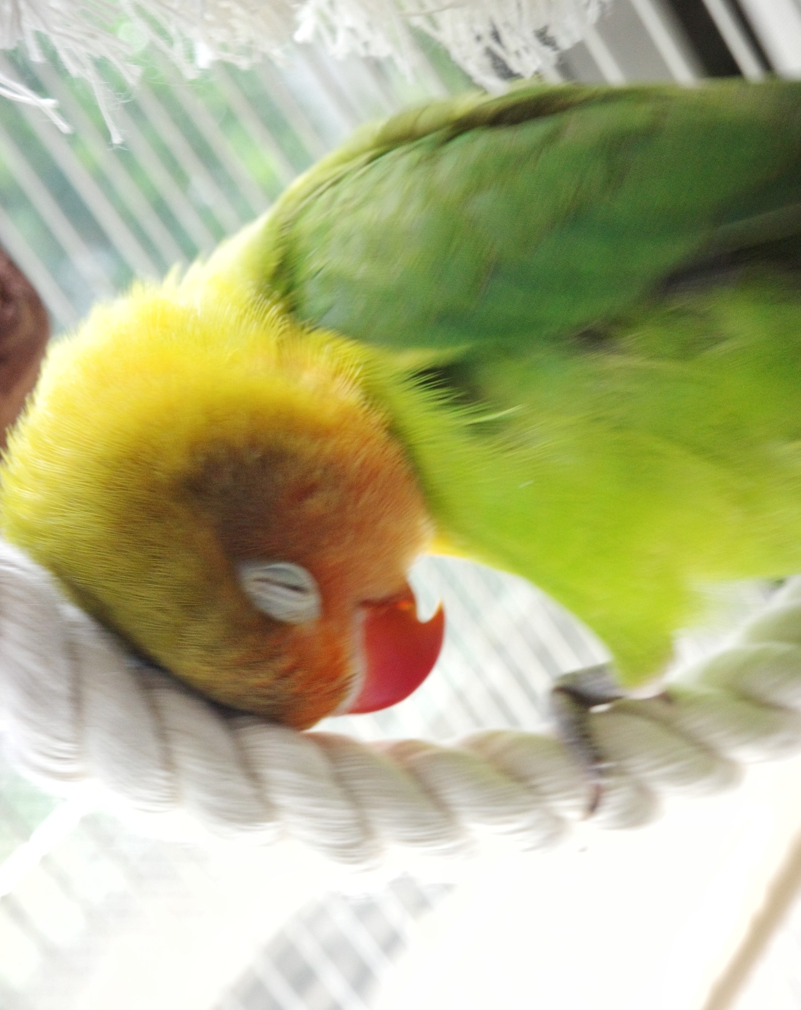 f:id:bin-paku:20240824180008j:image