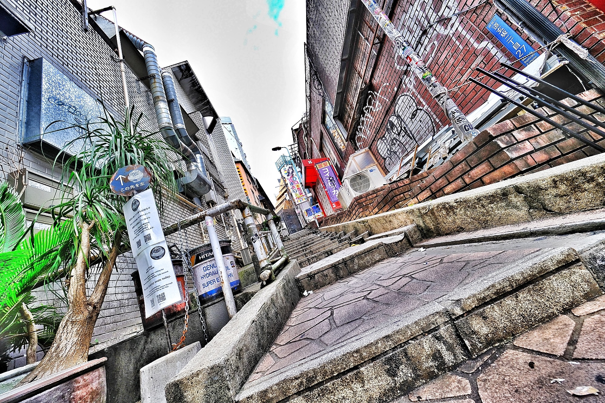 f:id:bin-paku:20240930101454j:image f:id:bin-paku:20240930101454j:image