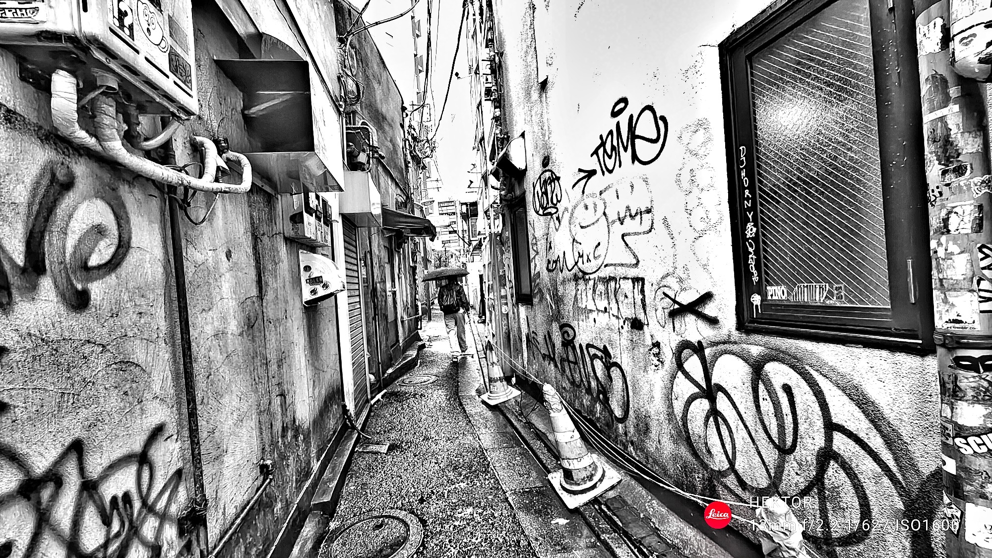 f:id:bin-paku:20241009115553j:image f:id:bin-paku:20241009115553j:image