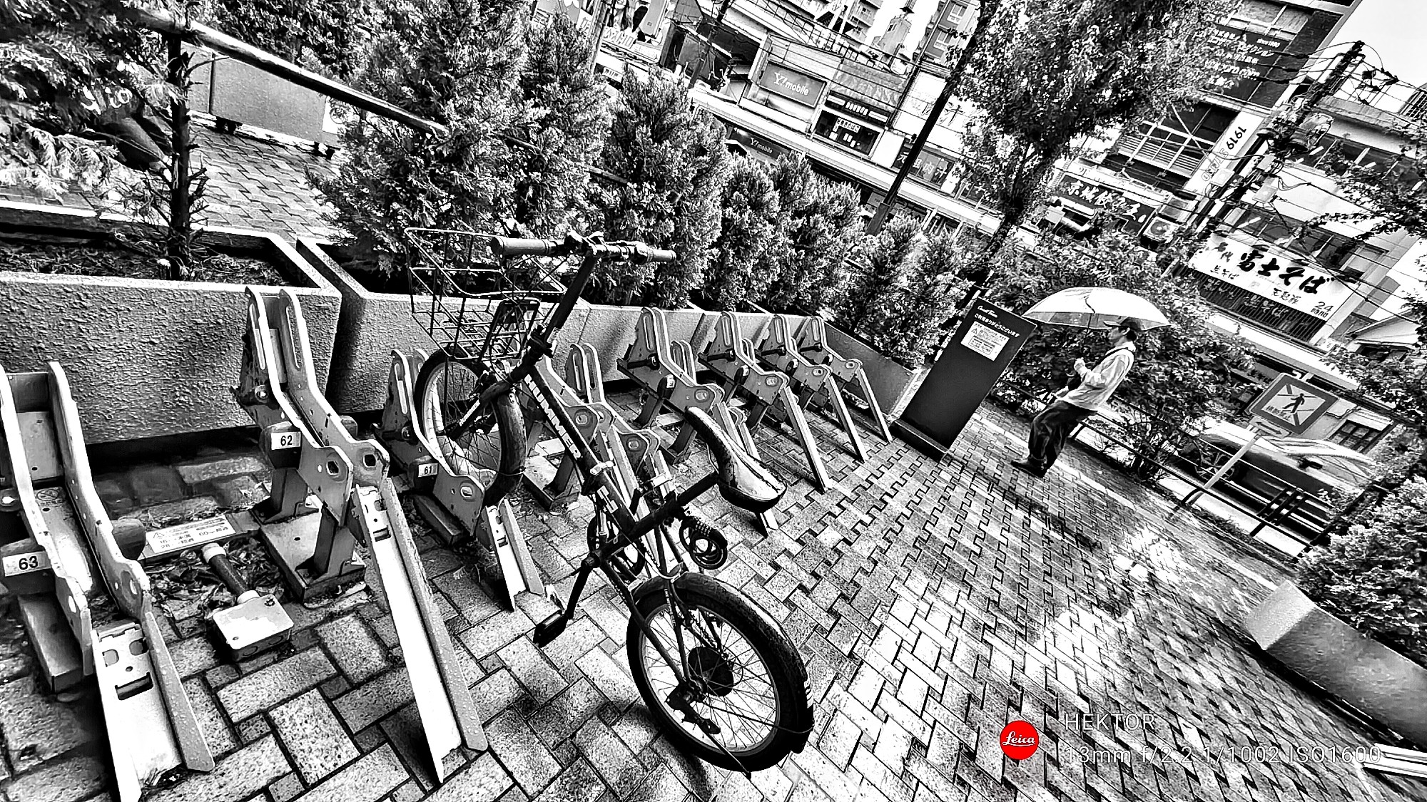 f:id:bin-paku:20241009115827j:image f:id:bin-paku:20241009115827j:image