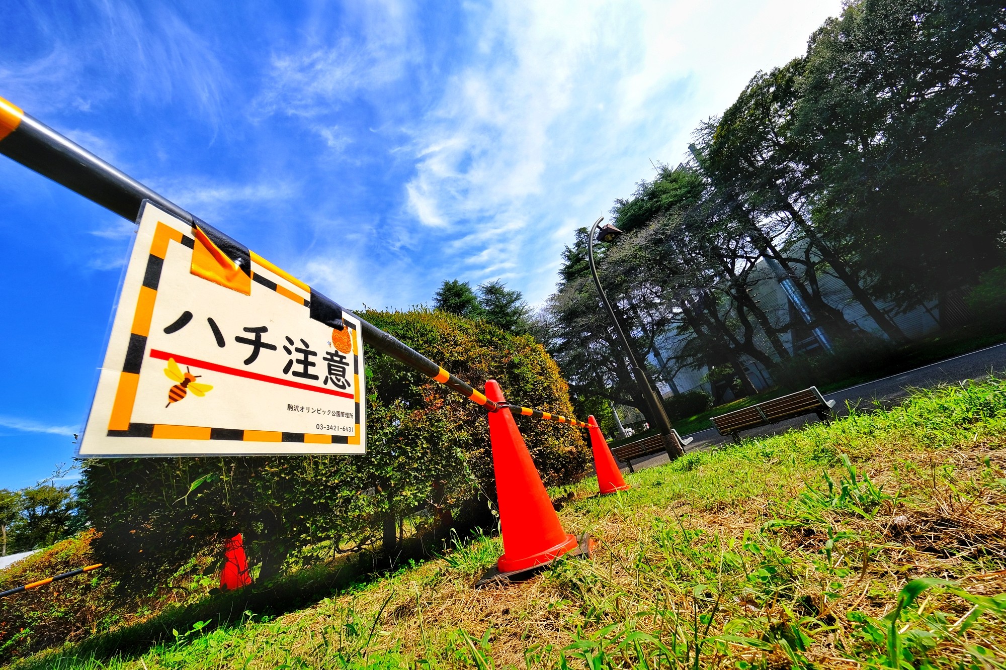 f:id:bin-paku:20241011120141j:image f:id:bin-paku:20241011120141j:image