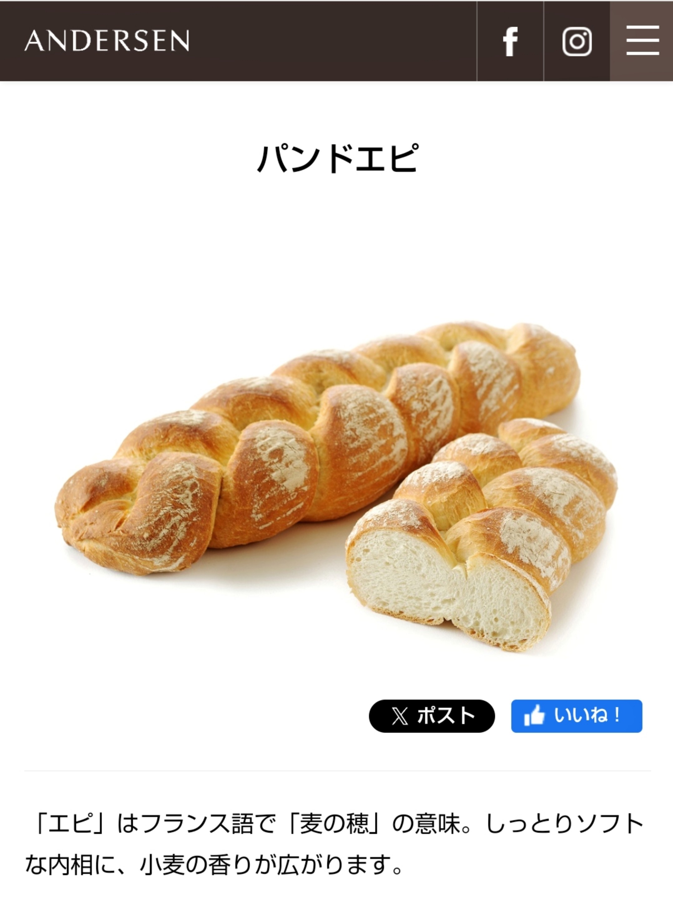 f:id:bin-paku:20241108120304j:image