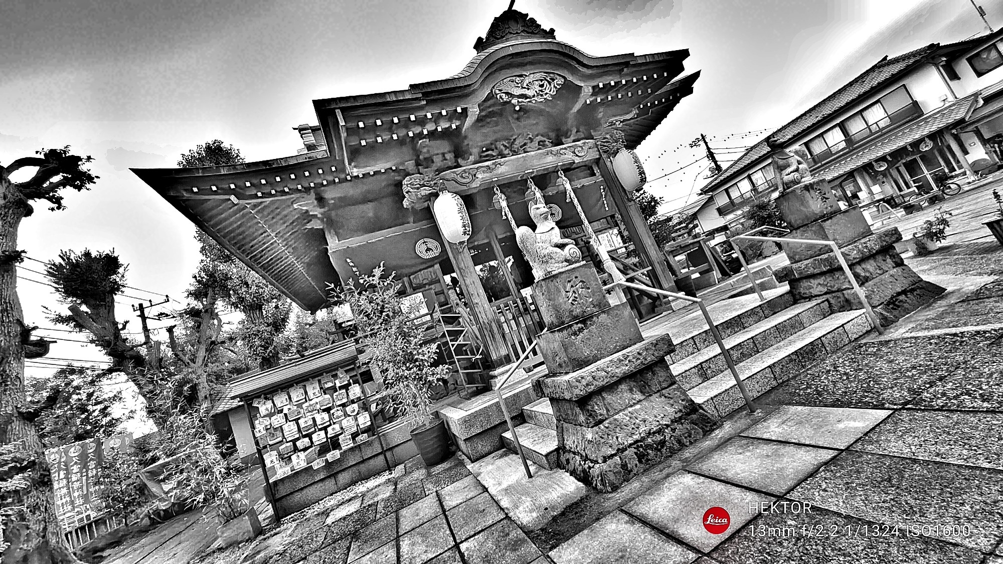 f:id:bin-paku:20241110152104j:image f:id:bin-paku:20241110152104j:image