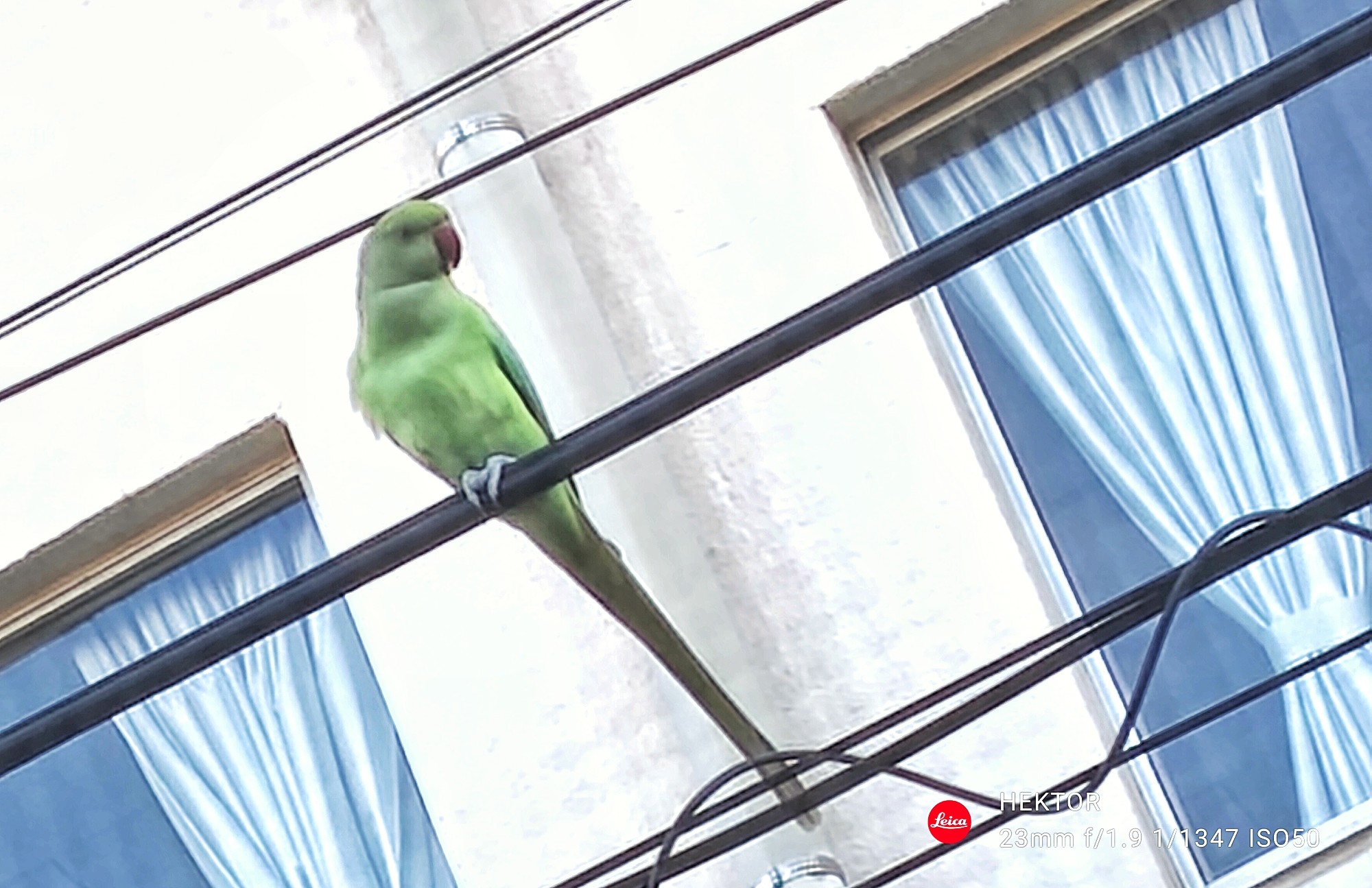 f:id:bin-paku:20241113120143j:image