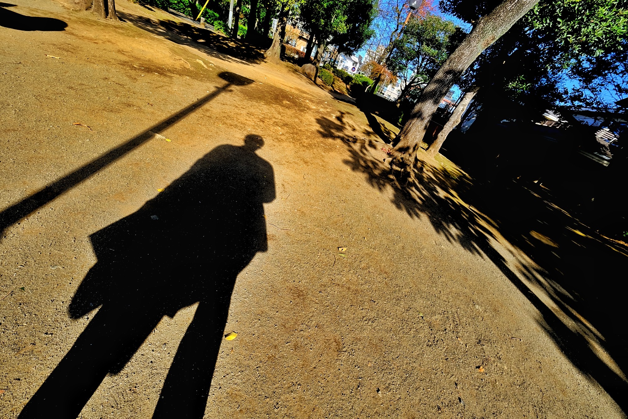 f:id:bin-paku:20241119102506j:image f:id:bin-paku:20241119102506j:image