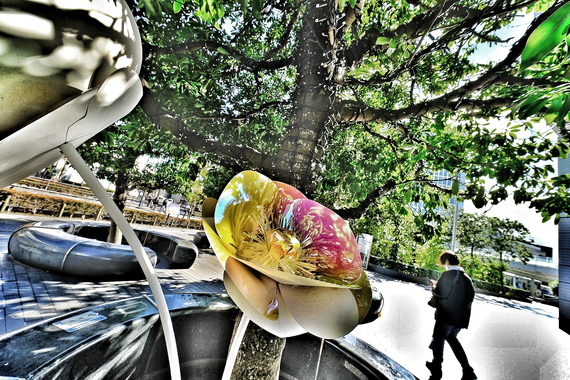 f:id:bin-paku:20241119120522j:image f:id:bin-paku:20241119120522j:image