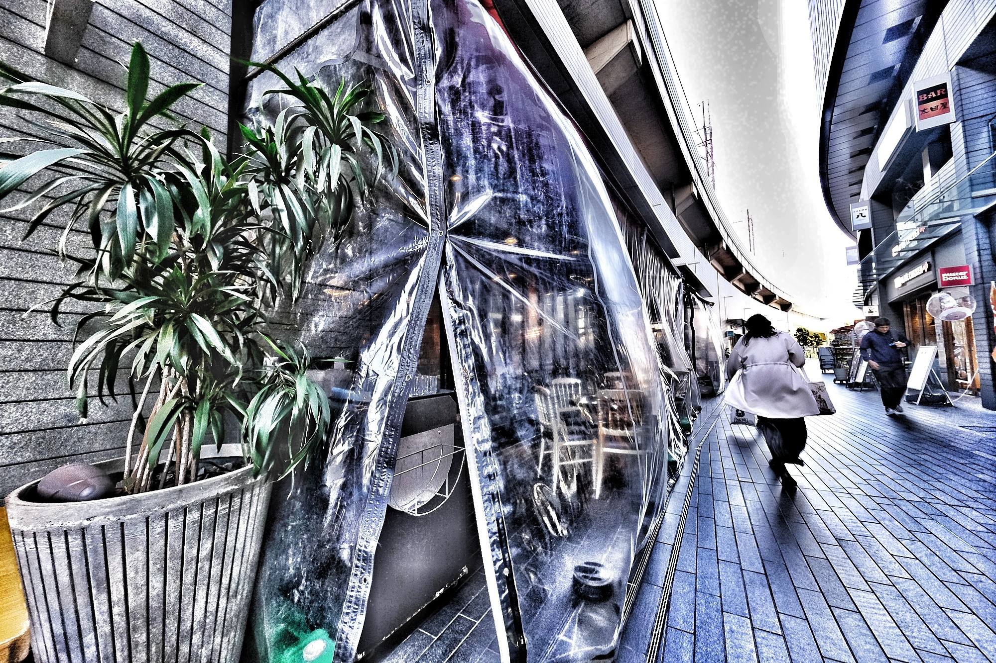 f:id:bin-paku:20241119120553j:image f:id:bin-paku:20241119120553j:image