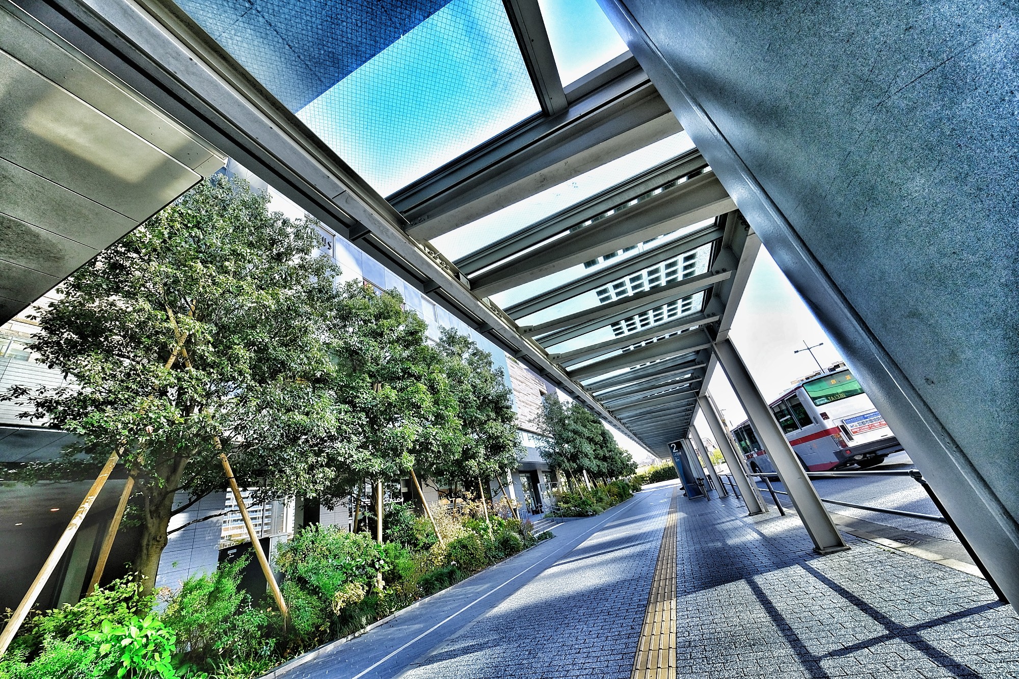 f:id:bin-paku:20241210223427j:image