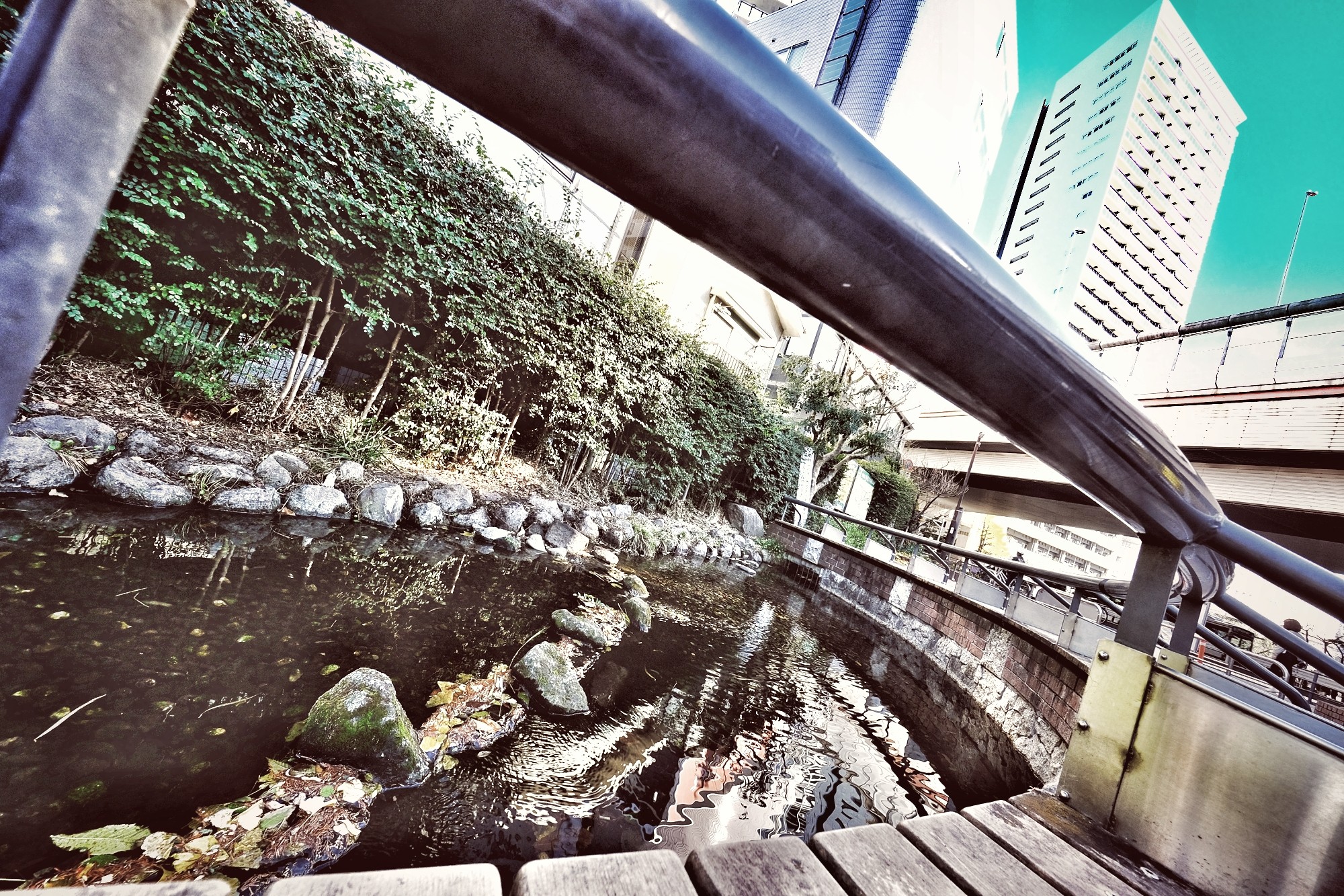 f:id:bin-paku:20241223115100j:image
