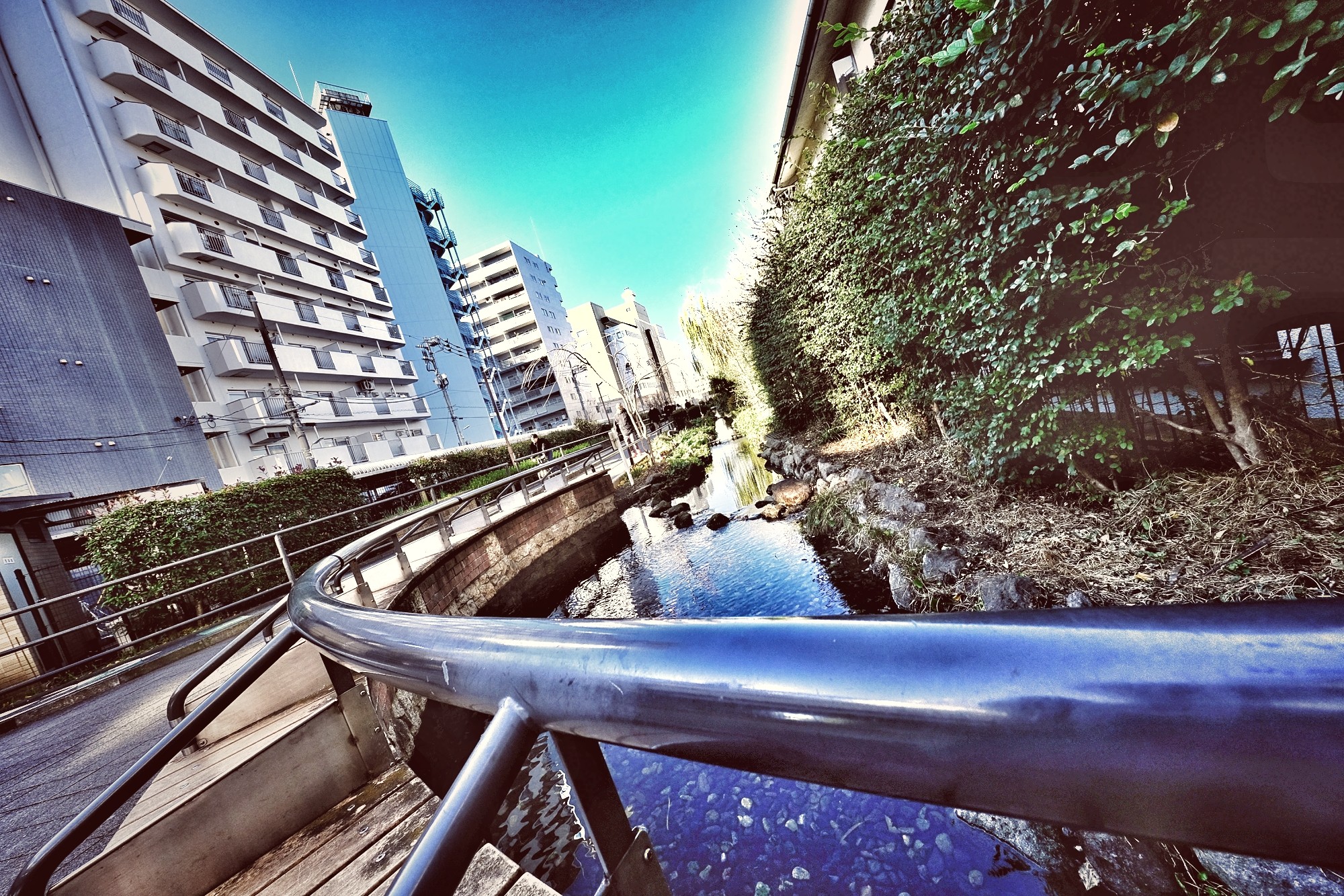 f:id:bin-paku:20241223115407j:image