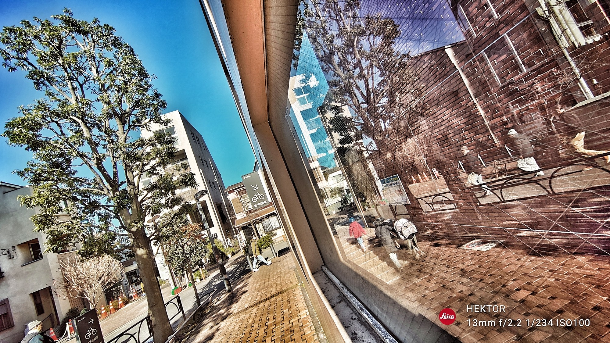 f:id:bin-paku:20241224122938j:image