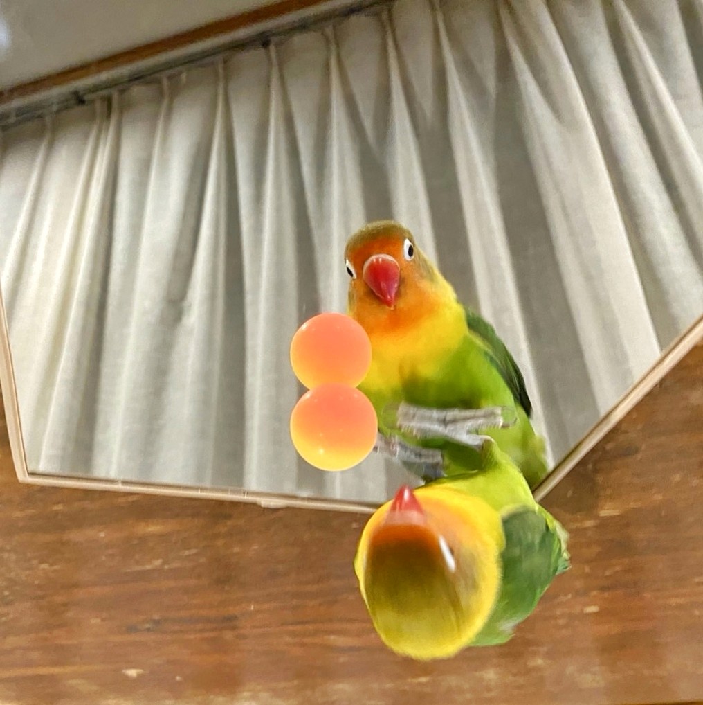 f:id:bin-paku:20250101203413j:image f:id:bin-paku:20250101203413j:image