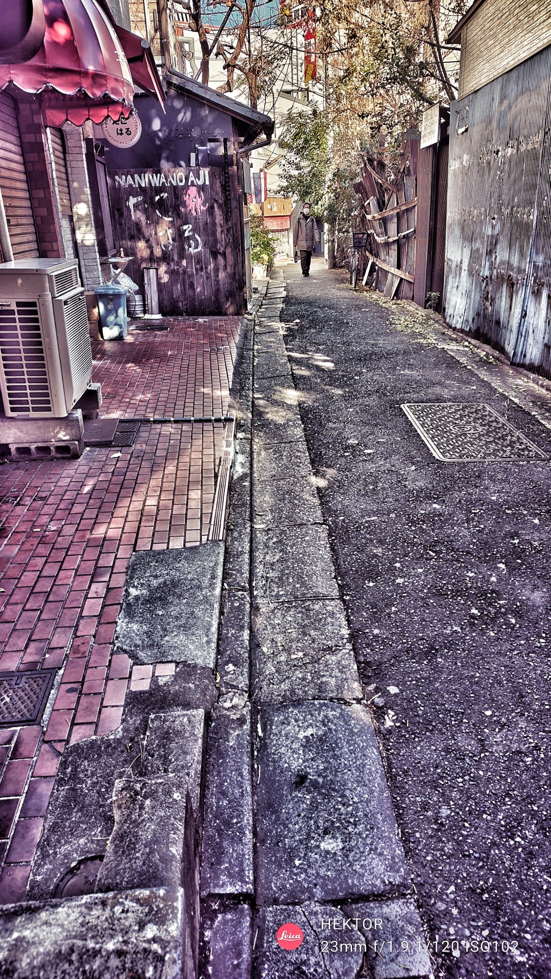 f:id:bin-paku:20250103115518j:image