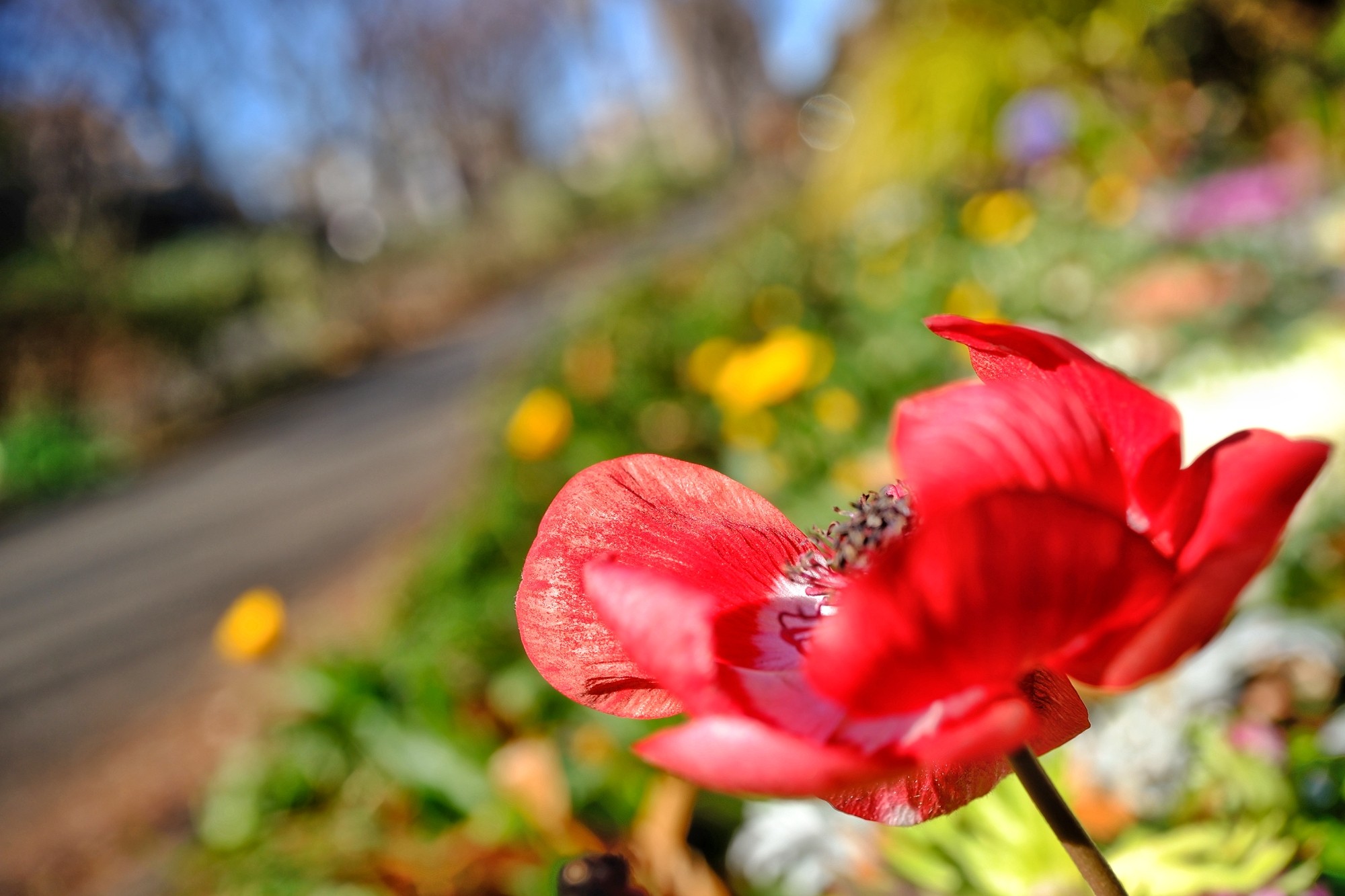 f:id:bin-paku:20250114090906j:image