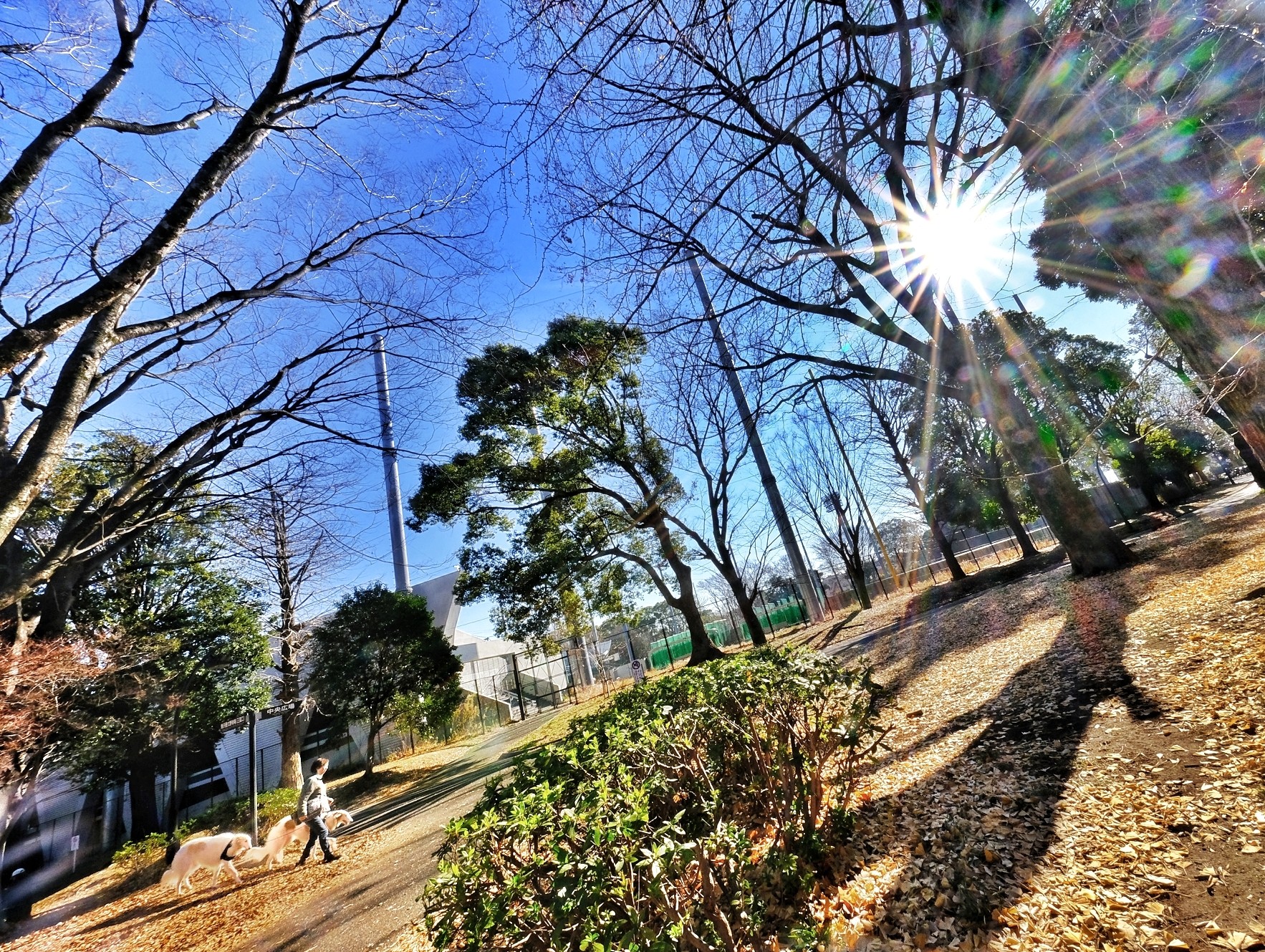 f:id:bin-paku:20250118115758j:image