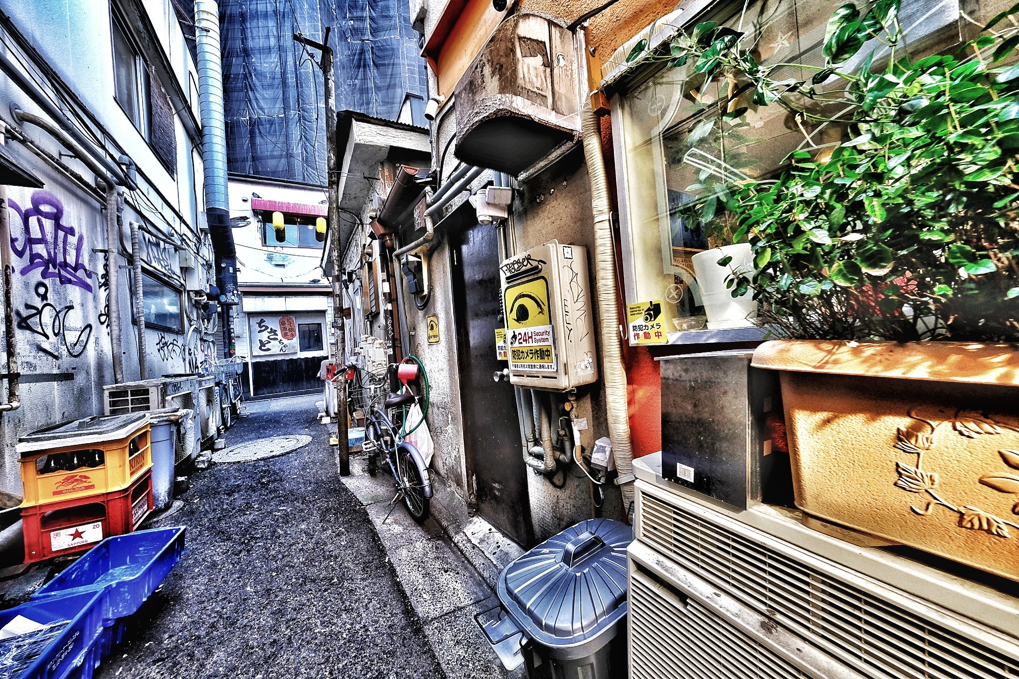 f:id:bin-paku:20250124080825j:image f:id:bin-paku:20250124080825j:image