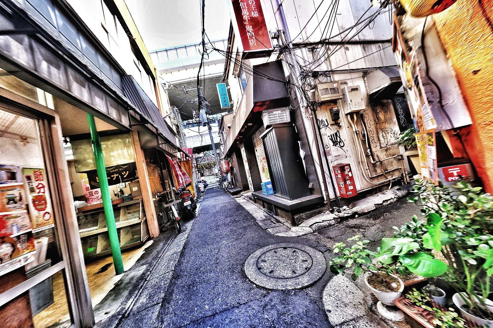f:id:bin-paku:20250124080949j:image f:id:bin-paku:20250124080949j:image