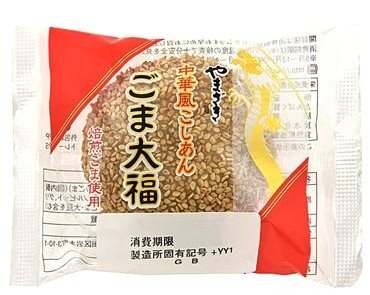 f:id:bin-paku:20250125195340j:image