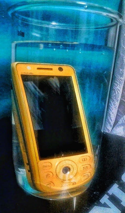 f:id:bin-paku:20250206113613j:image