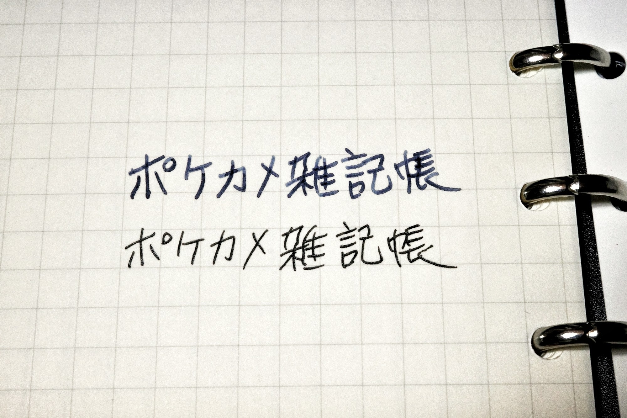 f:id:bin-paku:20250222183654j:image f:id:bin-paku:20250222183654j:image