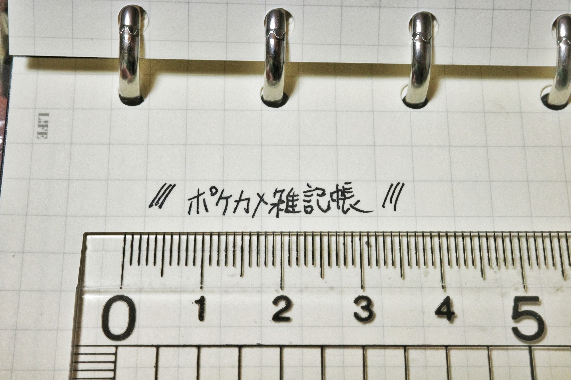 f:id:bin-paku:20250222232006j:image f:id:bin-paku:20250222232006j:image