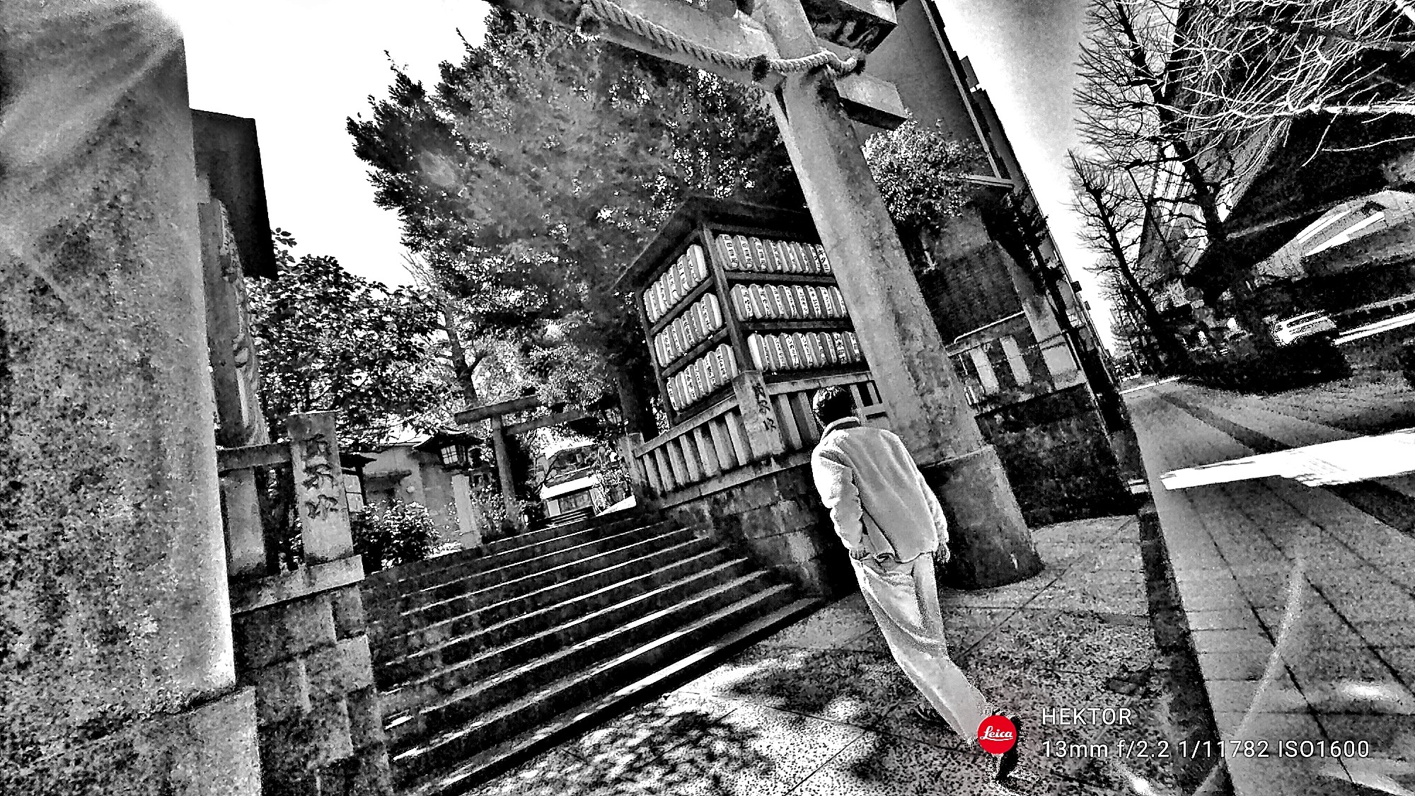 f:id:bin-paku:20250310120436j:image