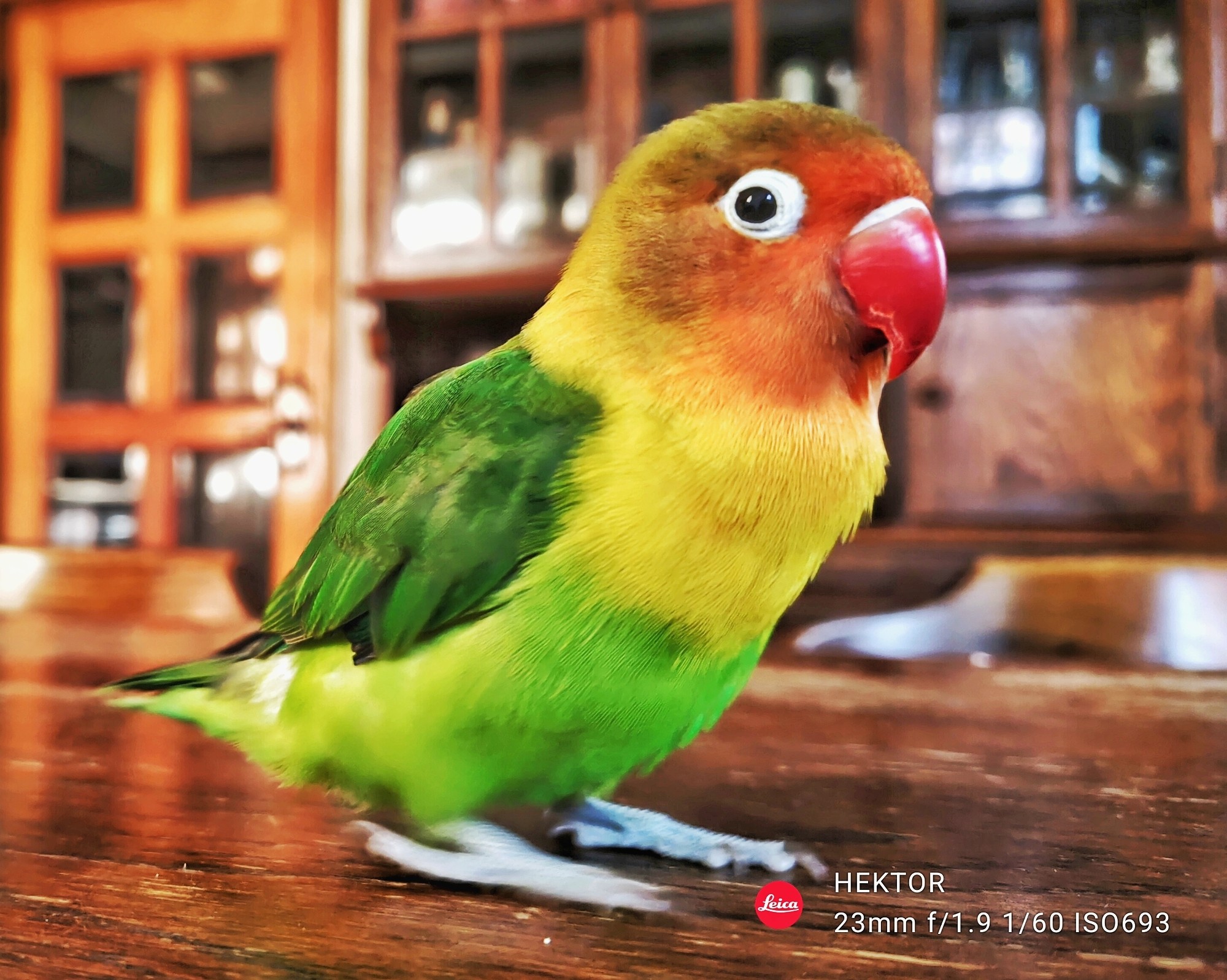 f:id:bin-paku:20250413014353j:image f:id:bin-paku:20250413014353j:image