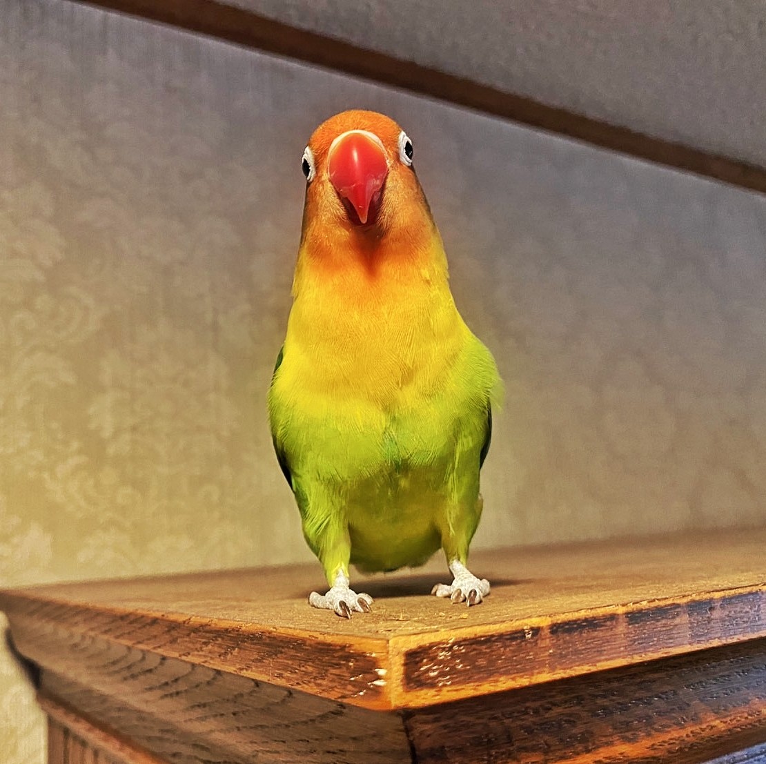 f:id:bin-paku:20250504193941j:image f:id:bin-paku:20250504193941j:image