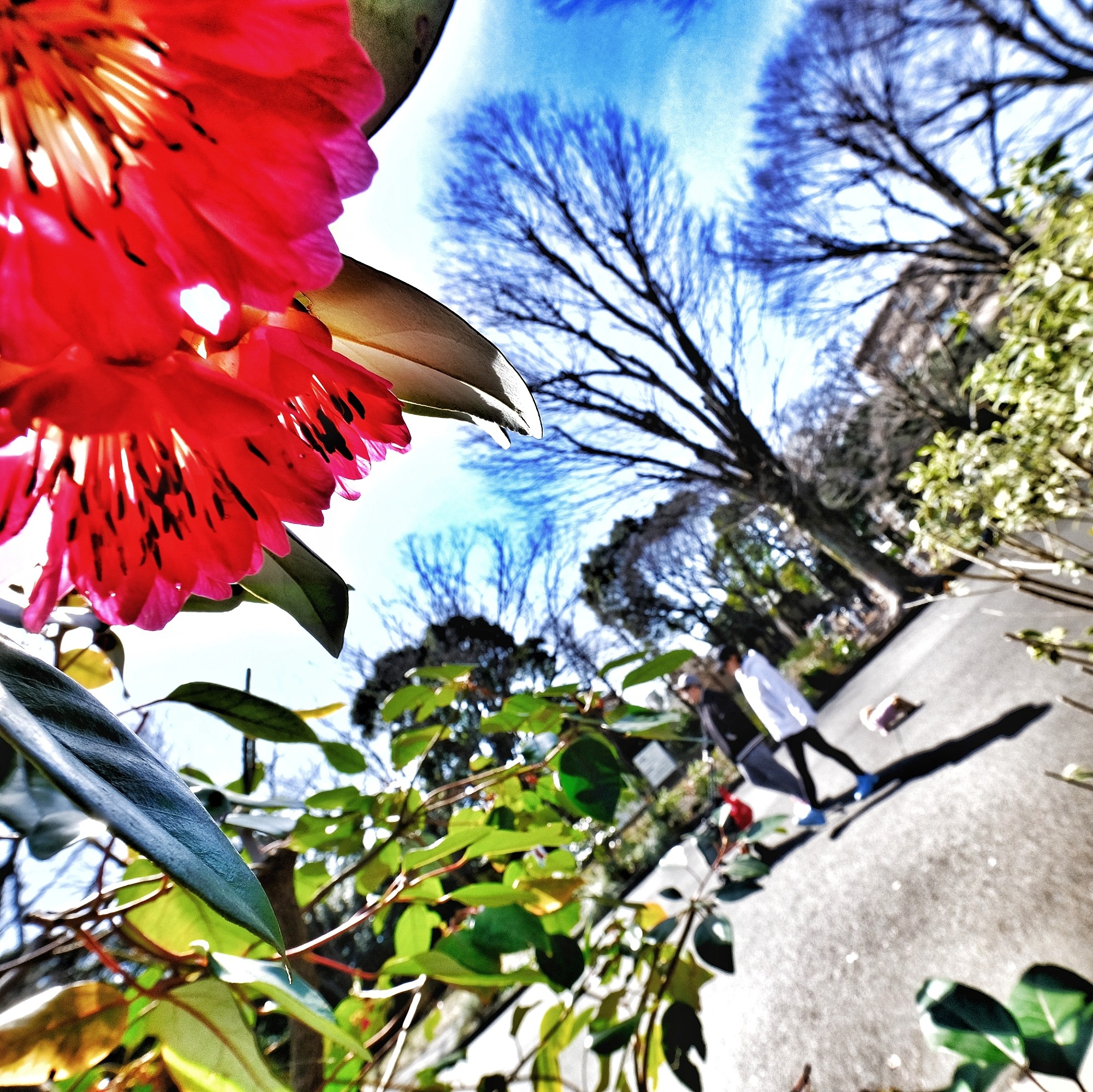 f:id:bin-paku:20250510163225j:image