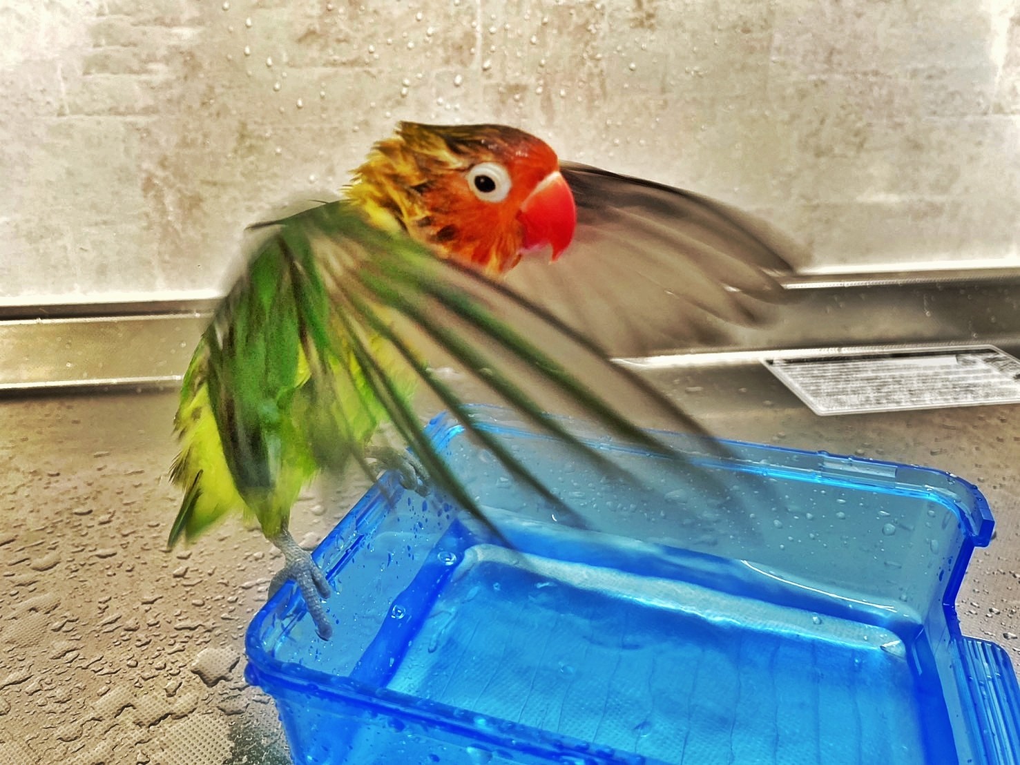 f:id:bin-paku:20250531093043j:image f:id:bin-paku:20250531093043j:image