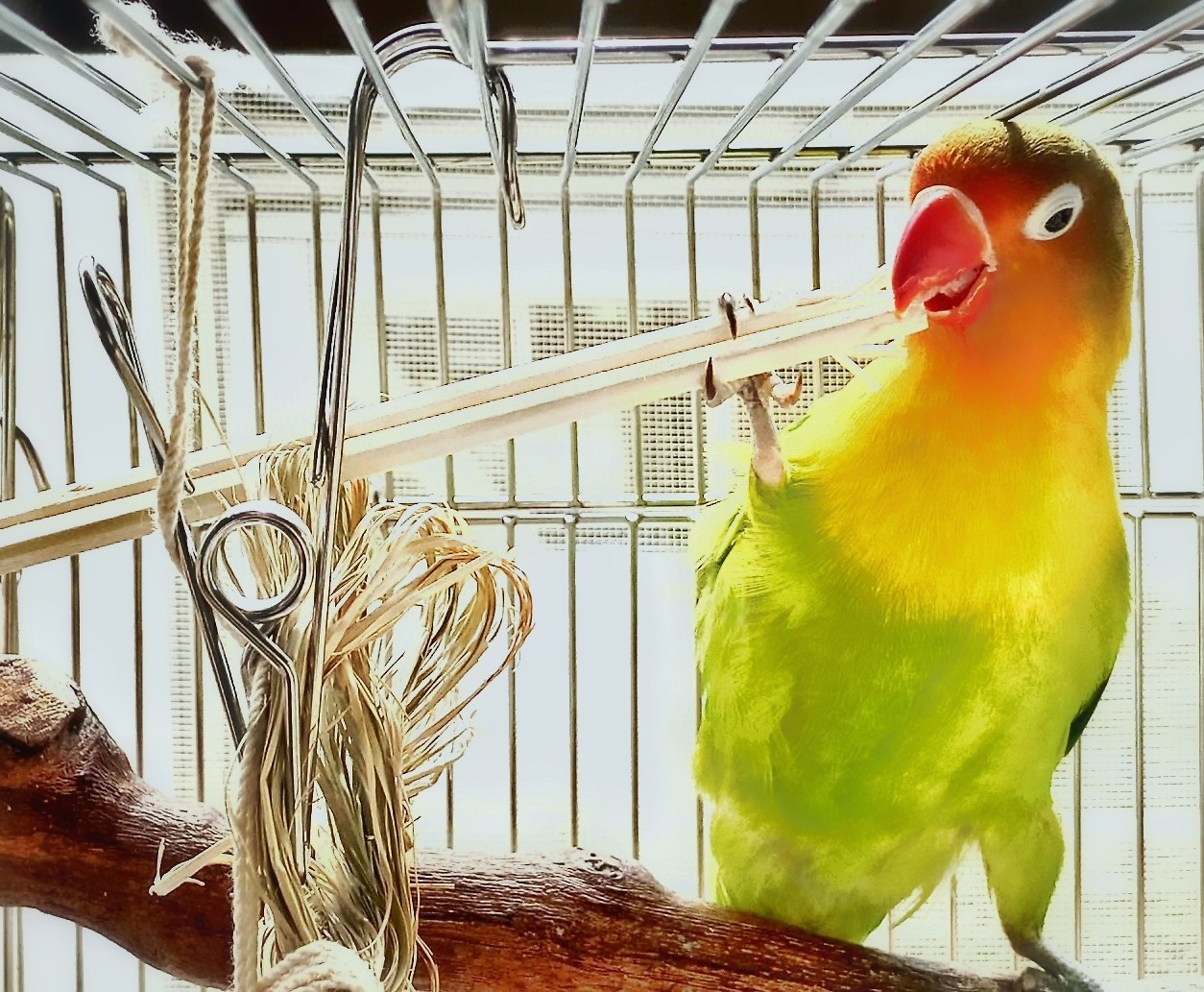 f:id:bin-paku:20250531093106j:image f:id:bin-paku:20250531093106j:image