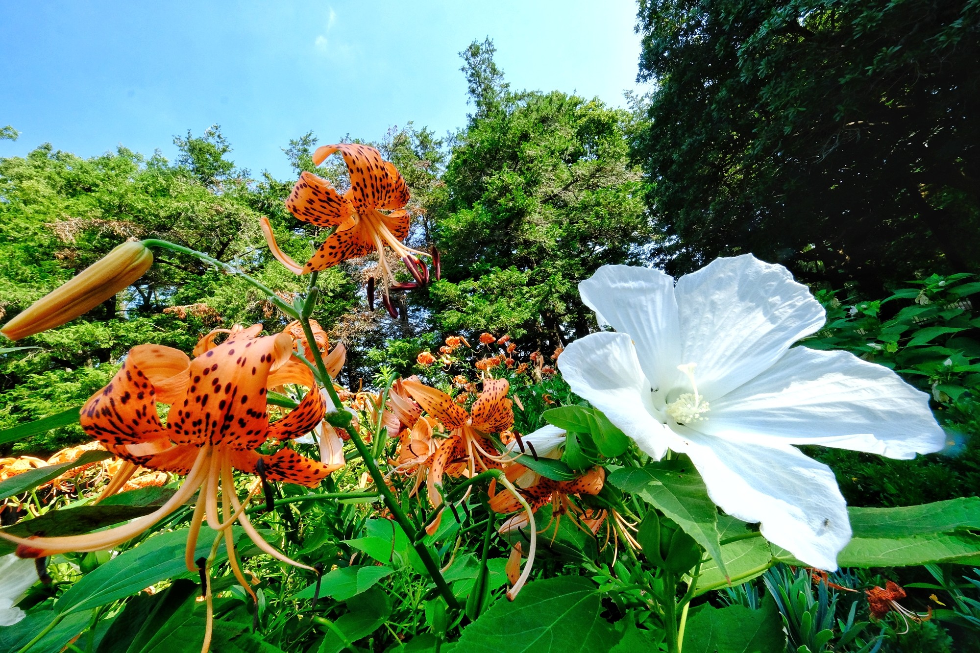 f:id:bin-paku:20250724085704j:image f:id:bin-paku:20250724085704j:image