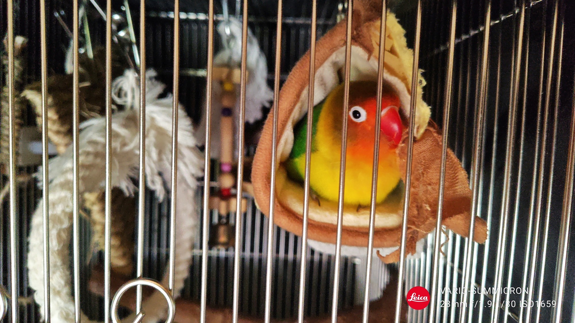 f:id:bin-paku:20250817203015j:image