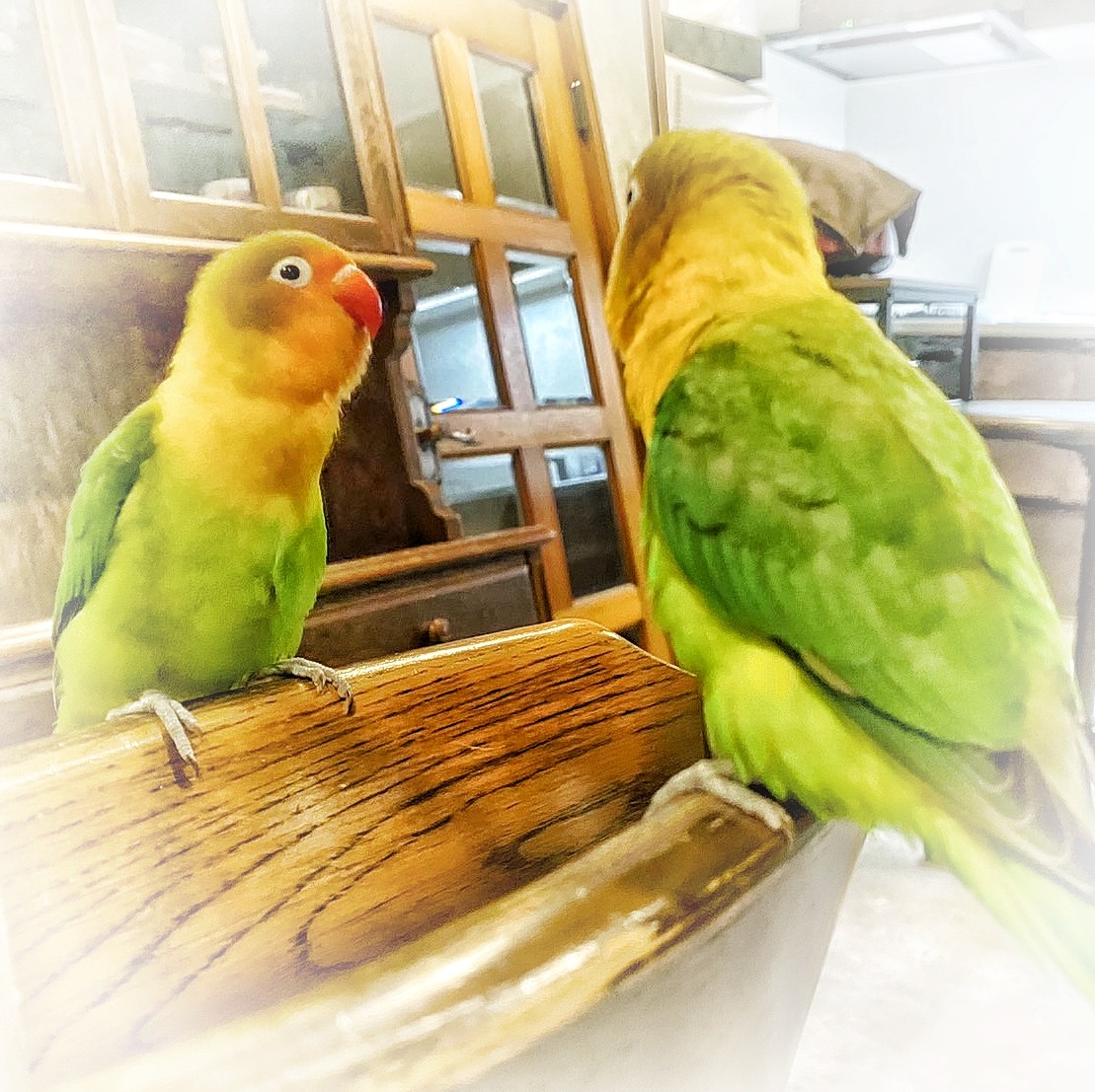 f:id:bin-paku:20250823124056j:image f:id:bin-paku:20250823124056j:image