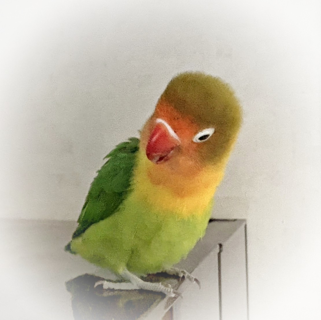 f:id:bin-paku:20251008124216j:image f:id:bin-paku:20251008124216j:image