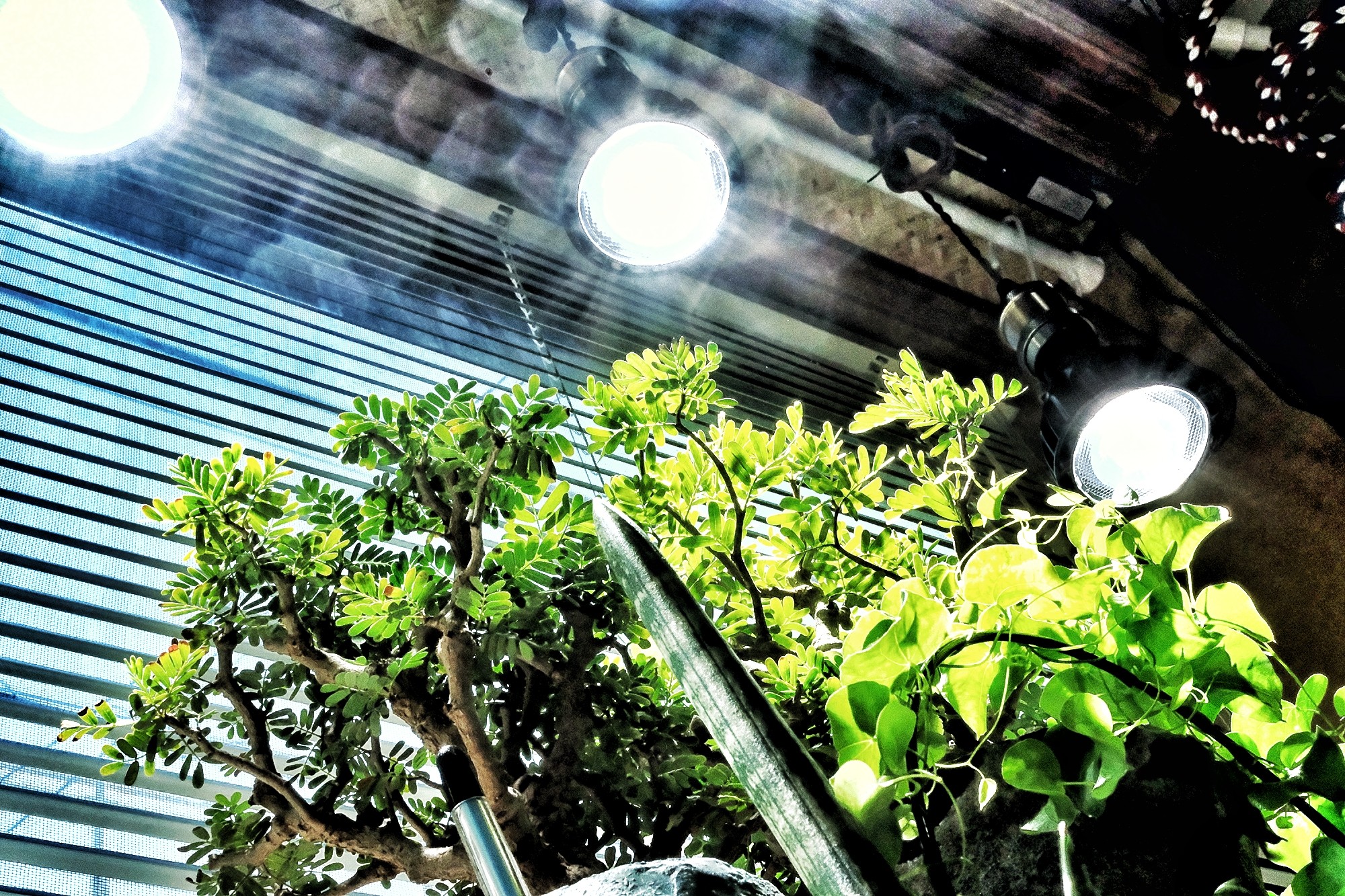 f:id:bin-paku:20251104082640j:image f:id:bin-paku:20251104082640j:image