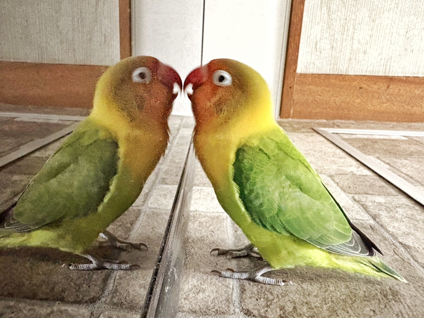 f:id:bin-paku:20251105110851j:image f:id:bin-paku:20251105110851j:image
