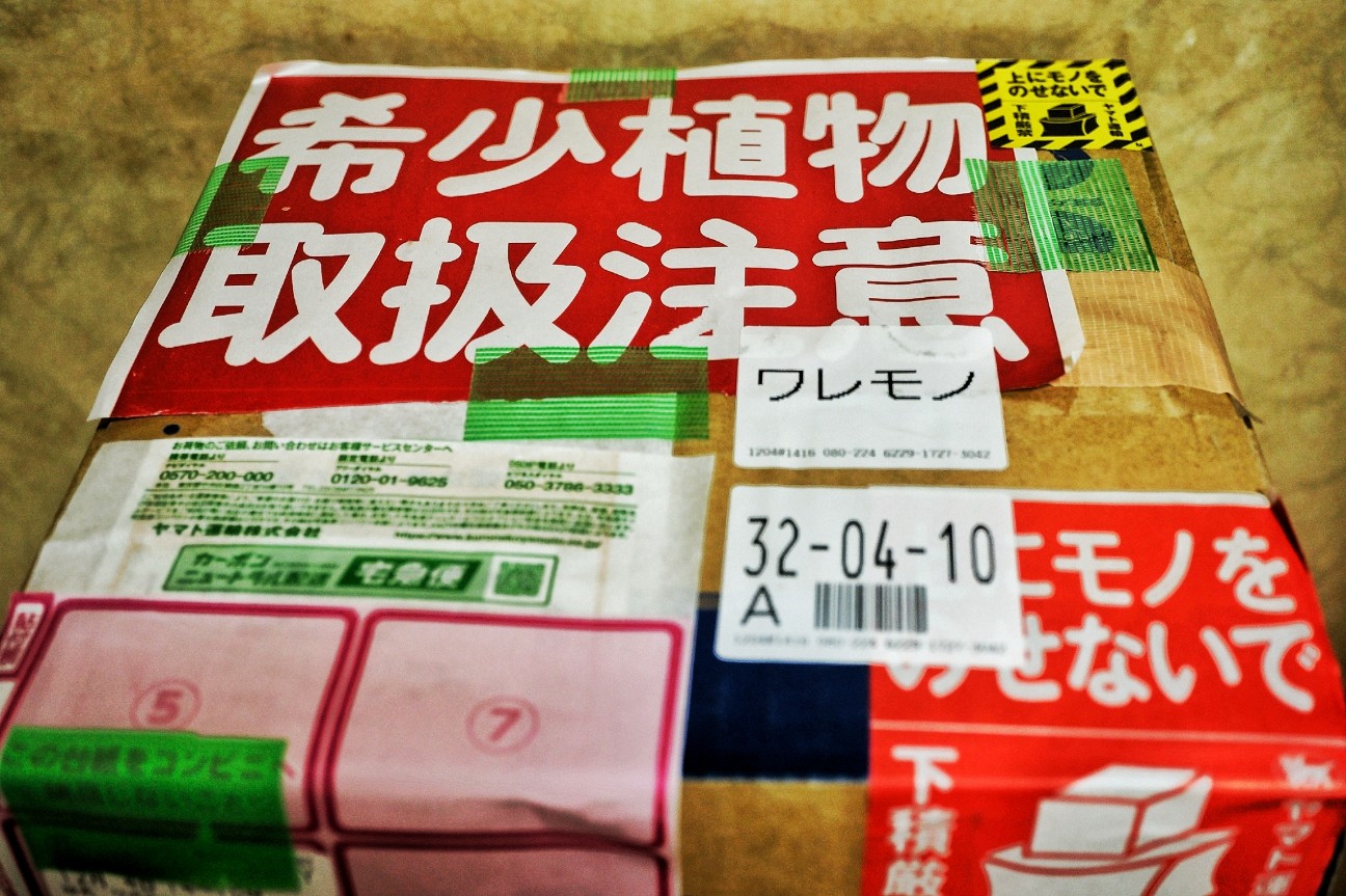 f:id:bin-paku:20251205083206j:image f:id:bin-paku:20251205083206j:image