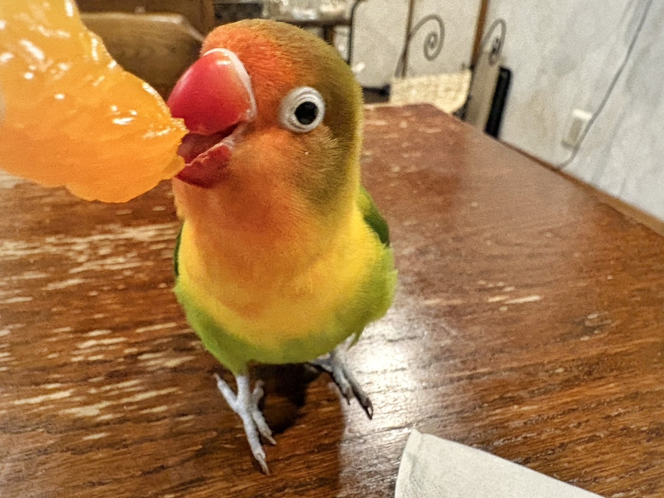 f:id:bin-paku:20260106115350j:image