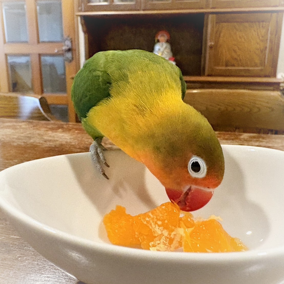 f:id:bin-paku:20260106115411j:image